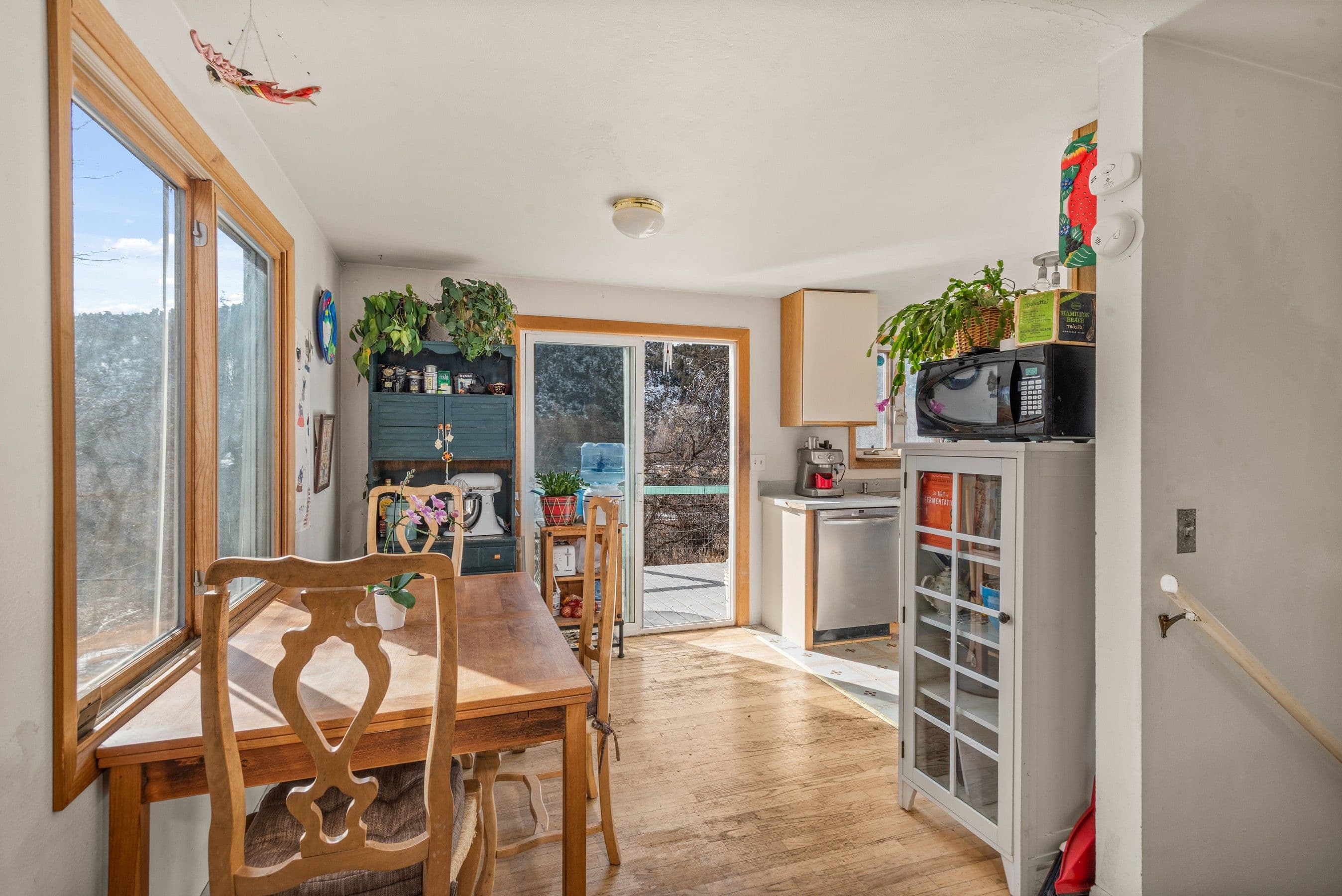 17317 Highway 82, Carbondale, CO 81623 - Photo 2