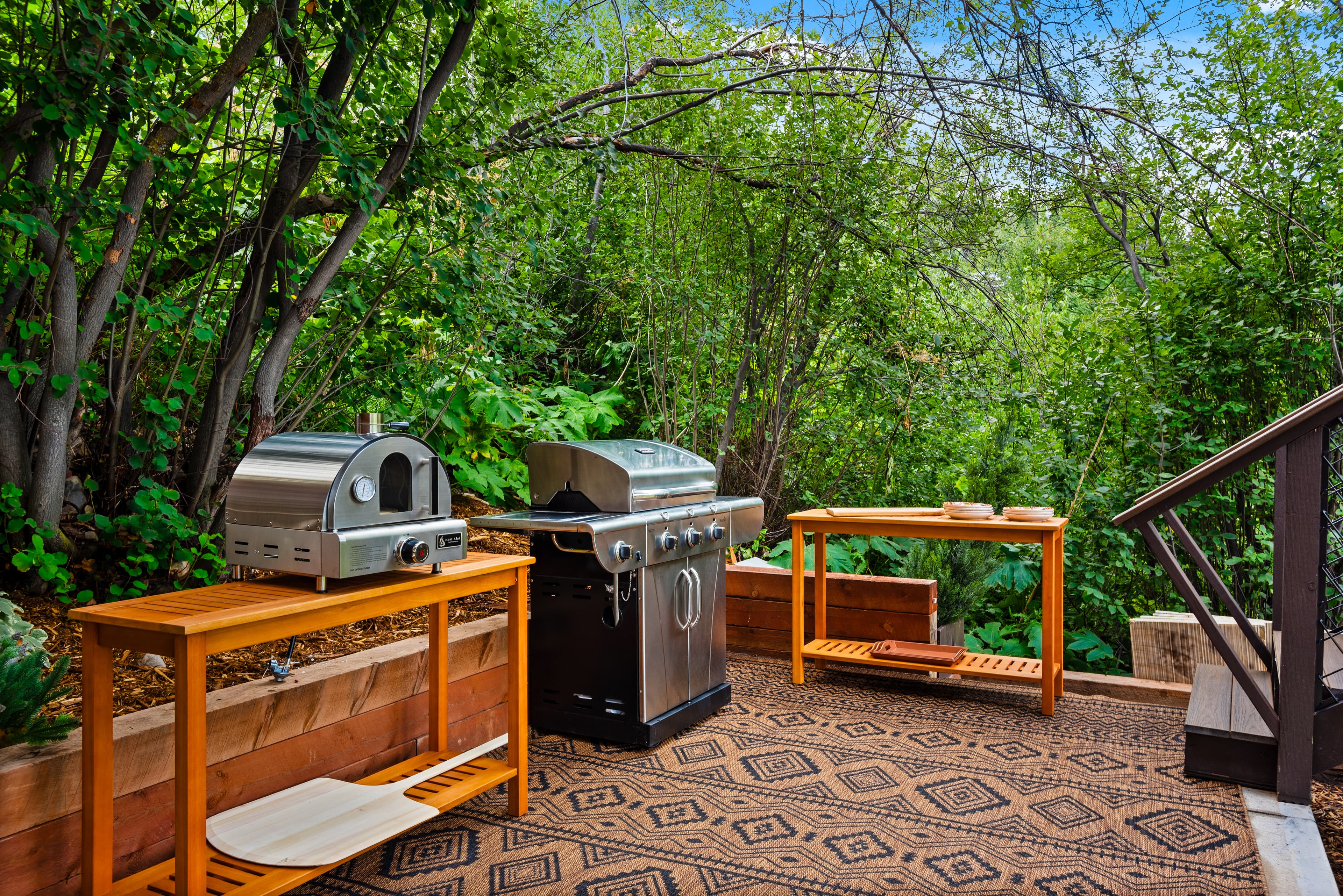 71 North Ridge Lane, Snowmass Village, CO 81615 - Photo 3