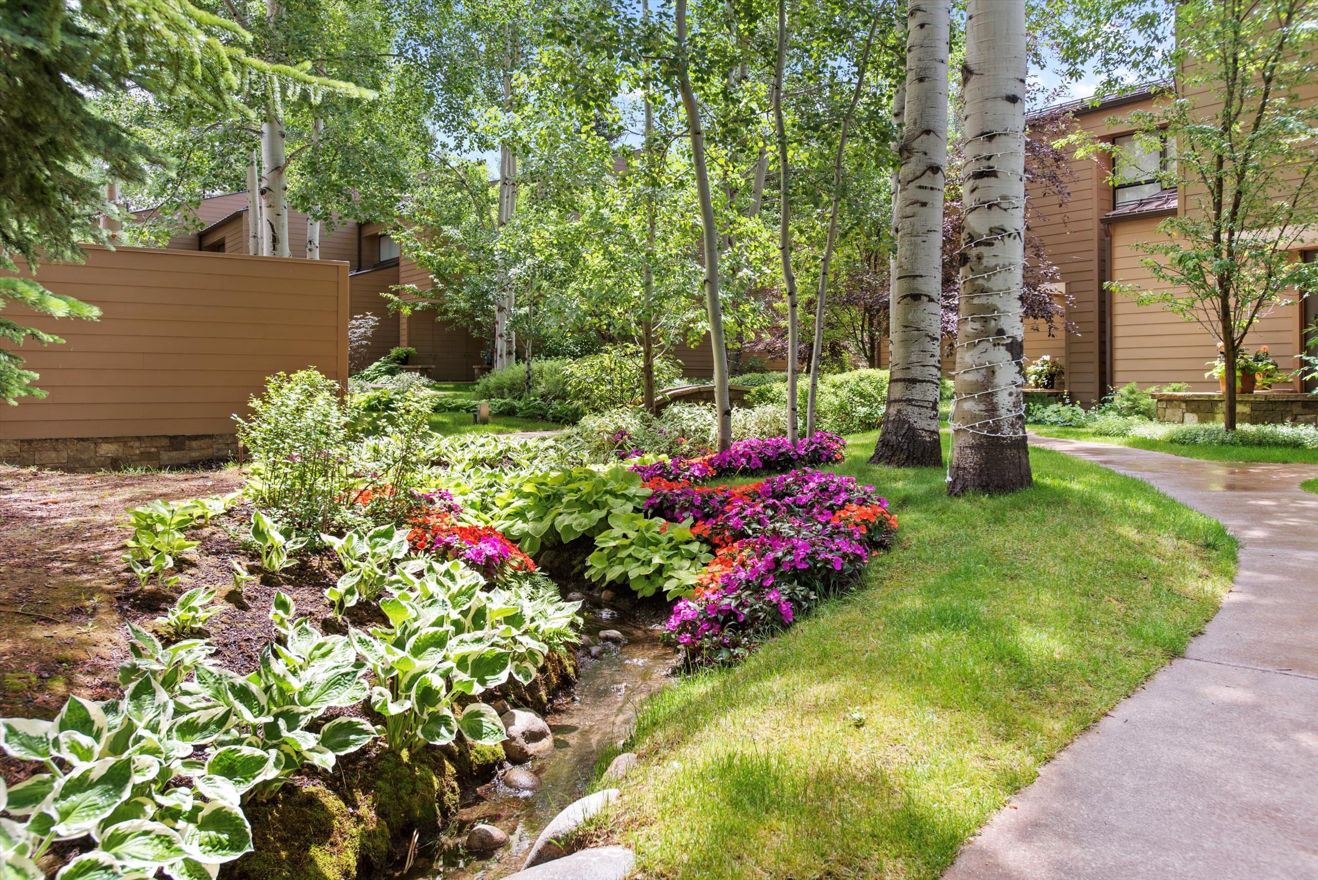 155 Lone Pine Road 8, Aspen, CO 81611 - Photo 2