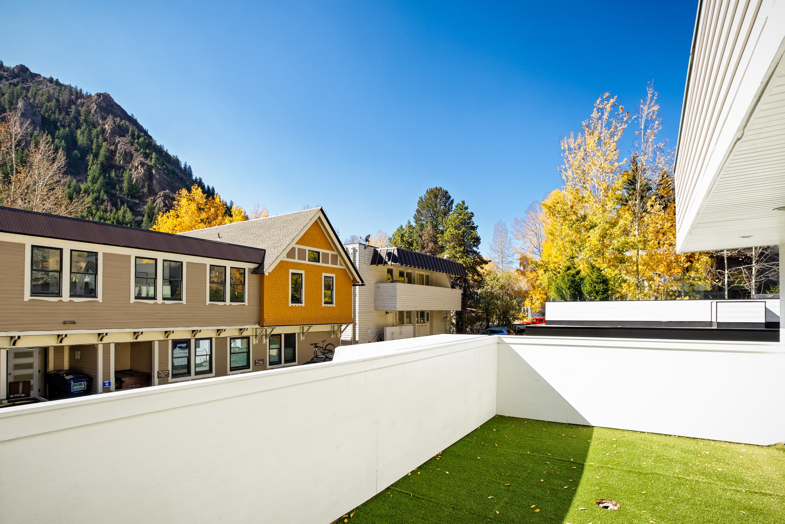 401 W Bleeker Street, Aspen, CO 81611 - Photo 18