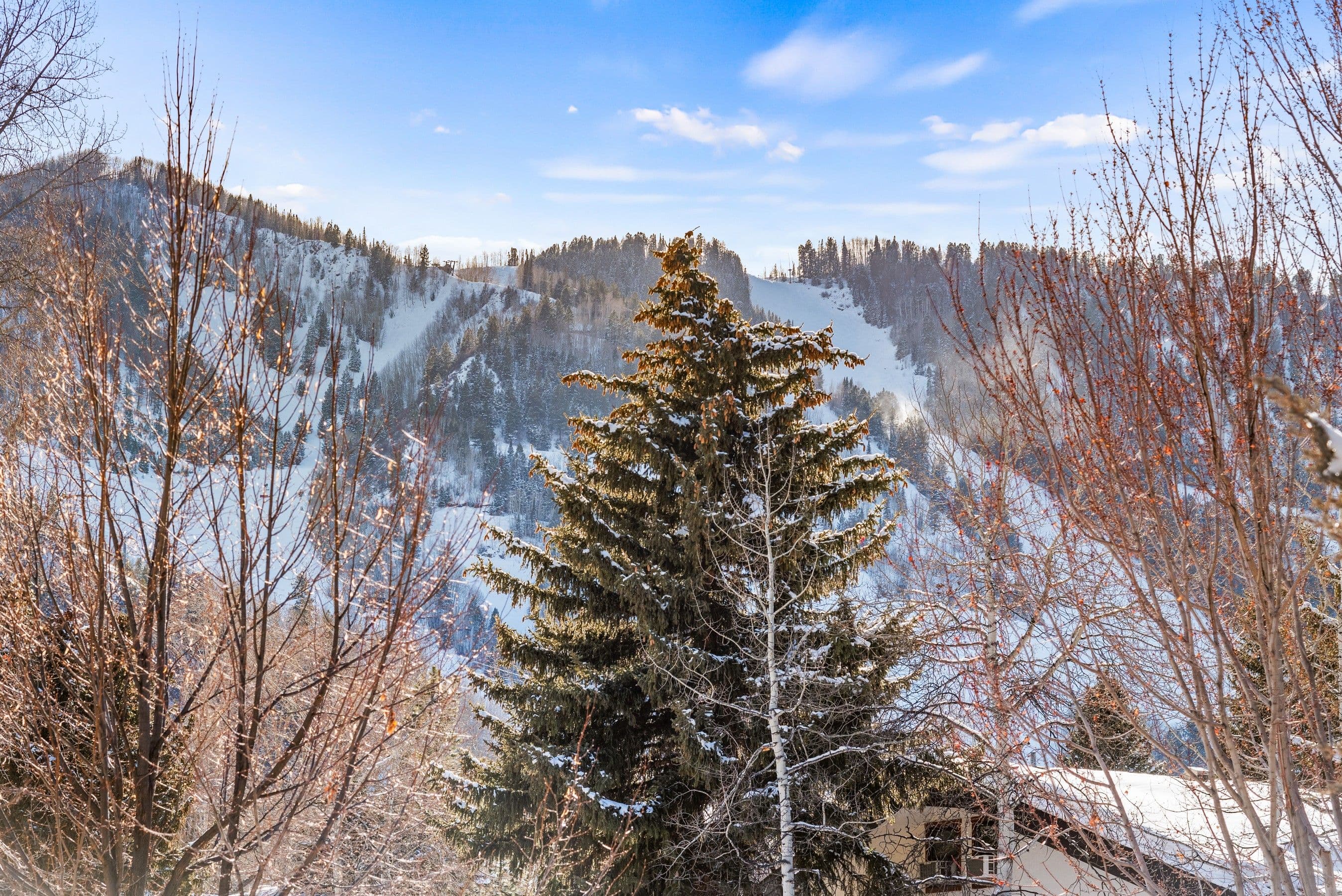 990 E Hopkins Avenue, Aspen, CO 81611 - Photo 8