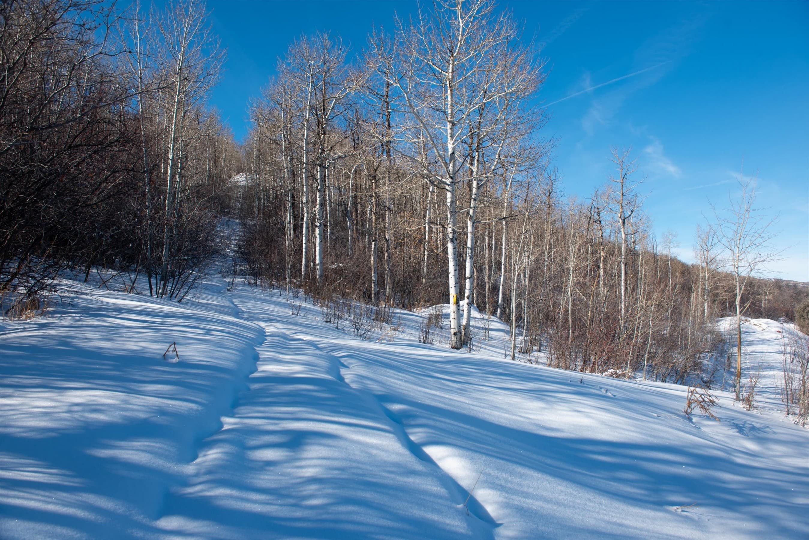 240 Buttermilk Lane, Aspen, CO 81611 - Photo 16