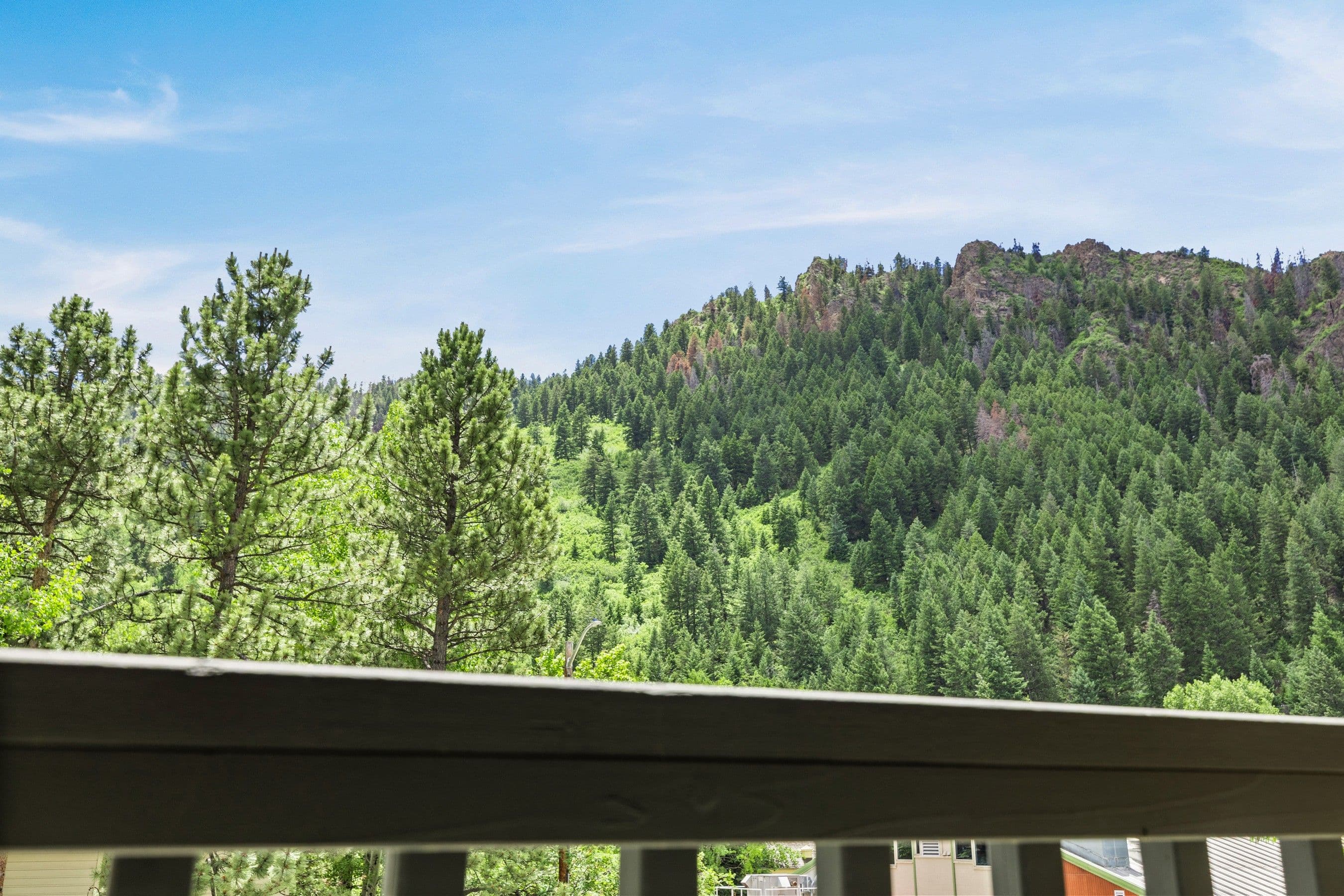 124 W Hyman Avenue 3B, Aspen, CO 81611 - Photo 29