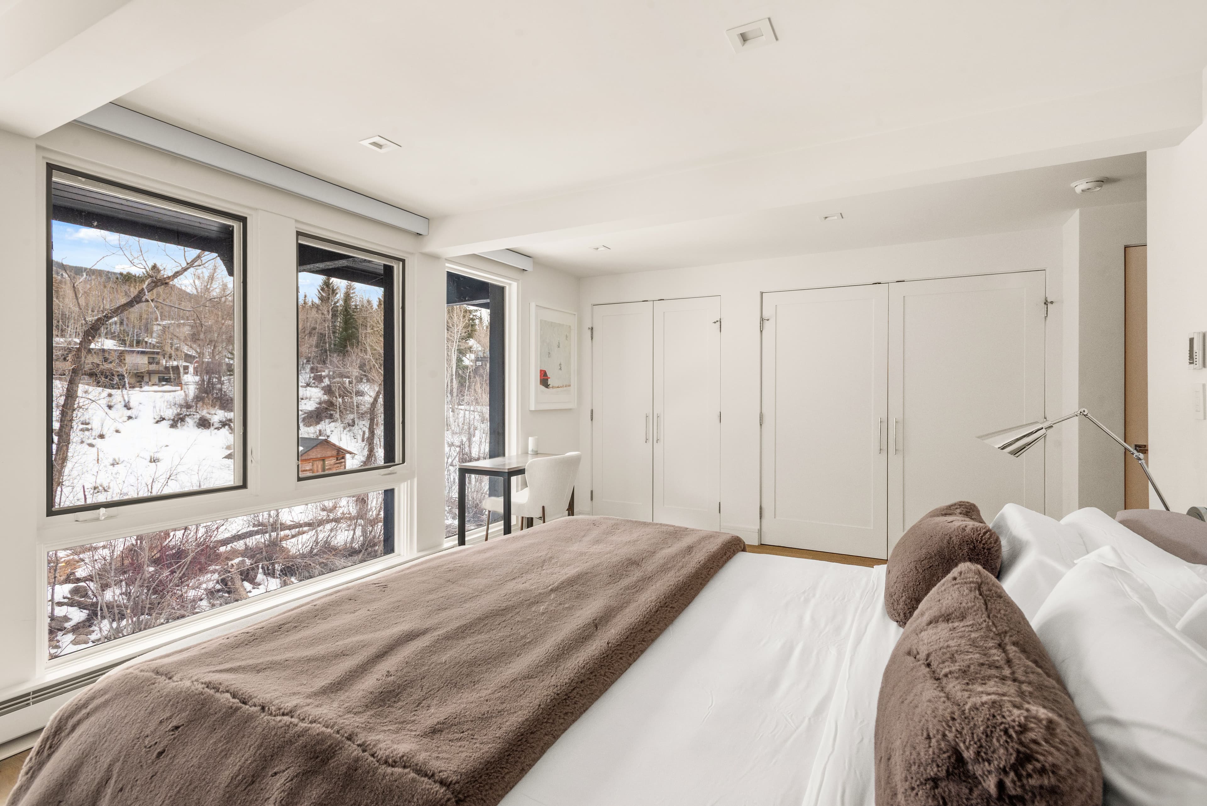 1039 E Cooper Avenue 20, Aspen, CO 81611 - Photo 20