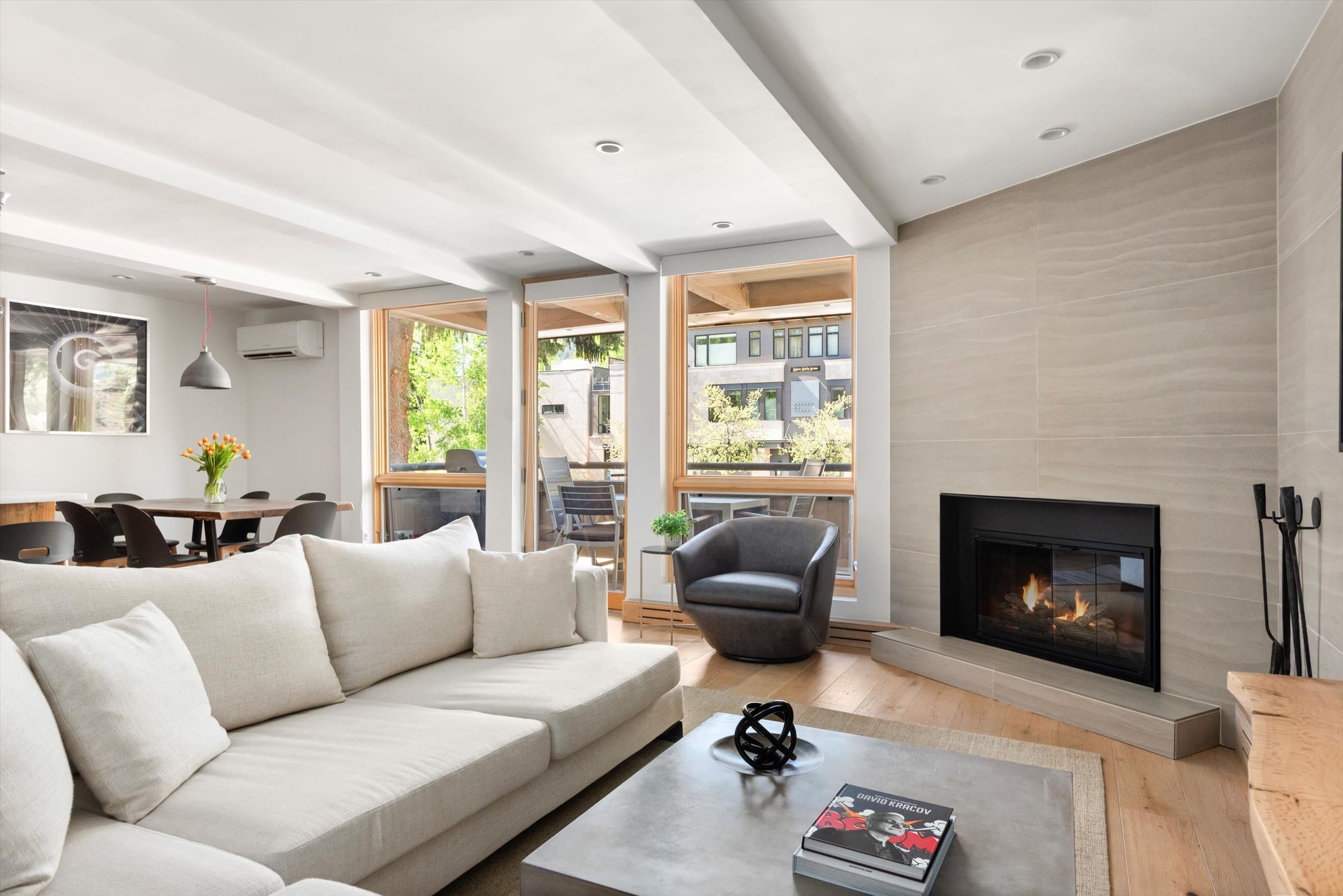 600 E Main Street #205, Aspen, CO 81611 - Photo 1