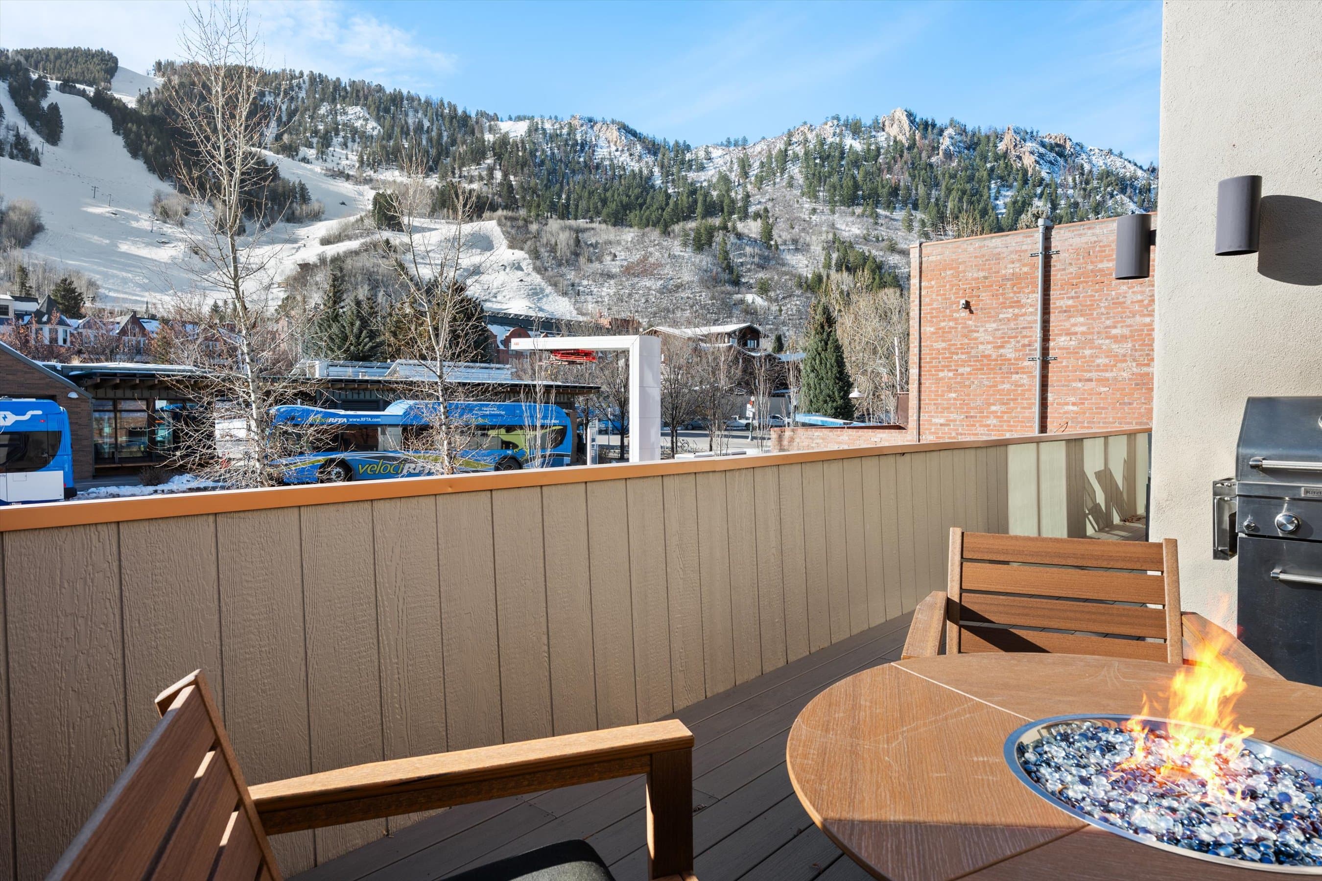 447 E Cooper Avenue 1, Aspen, CO 81611 - Photo 13