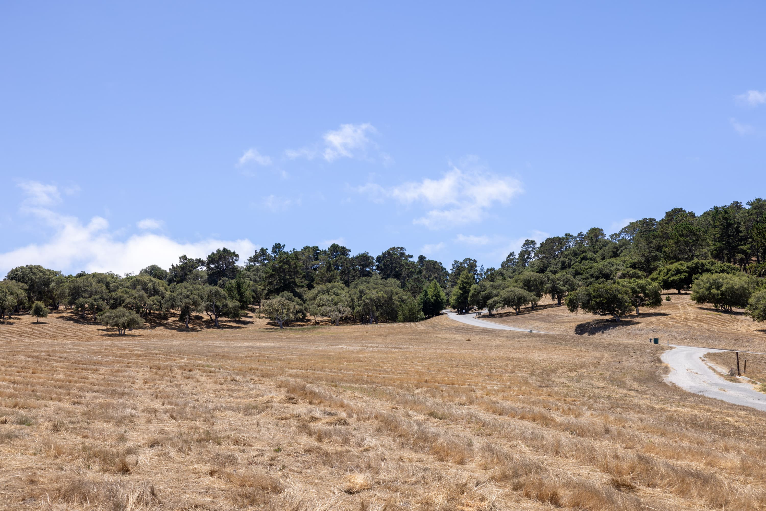 24545 Via Malpaso (Lot 94) - Photo 5