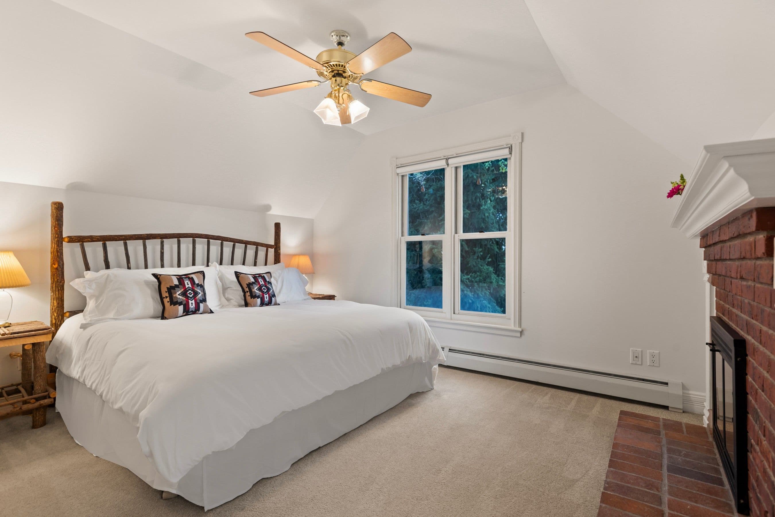 716 & 718 W Hallam Street, Aspen, CO 81611 - Photo 5