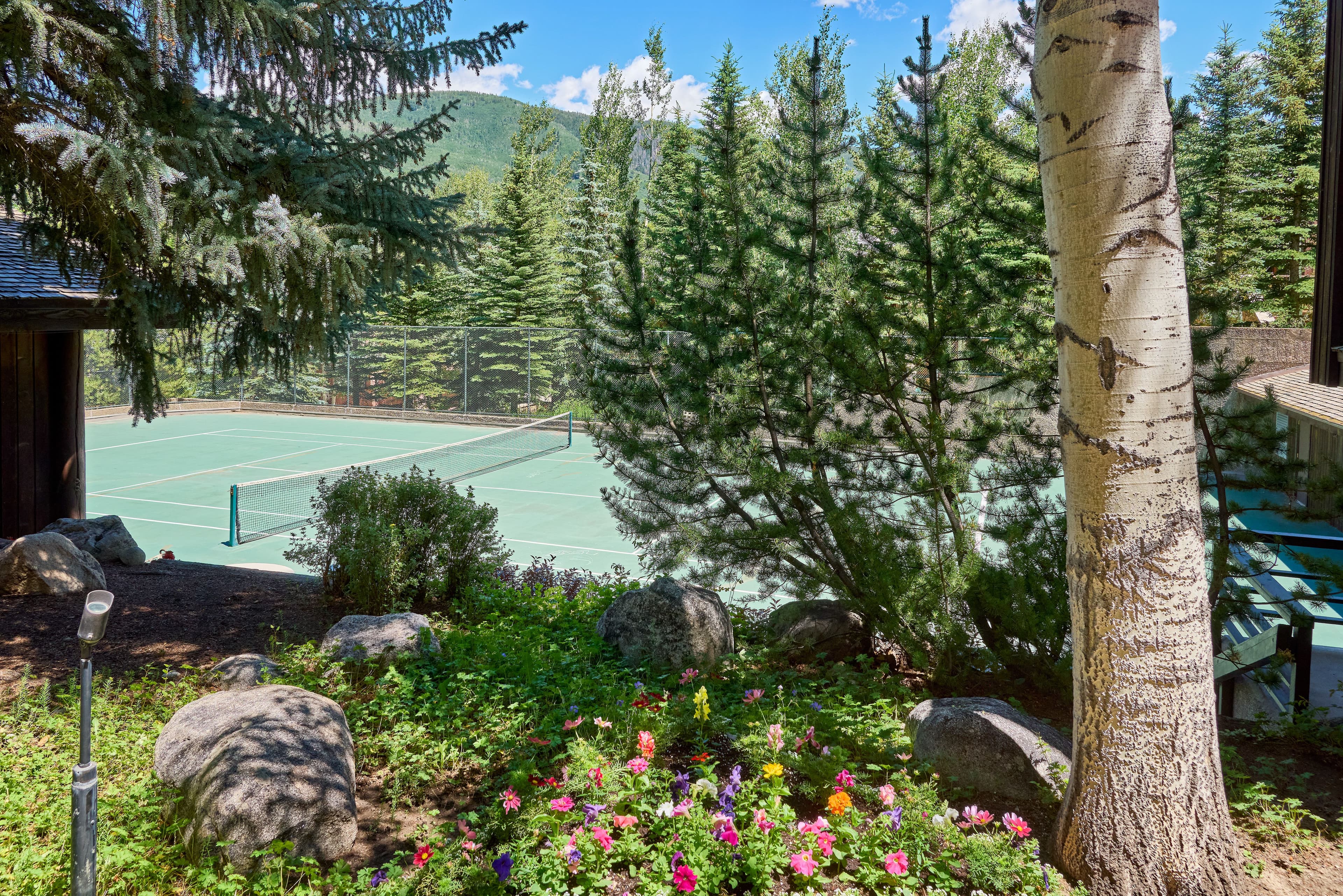 800 S Monarch Street 13, Aspen, CO 81611 - Photo 9
