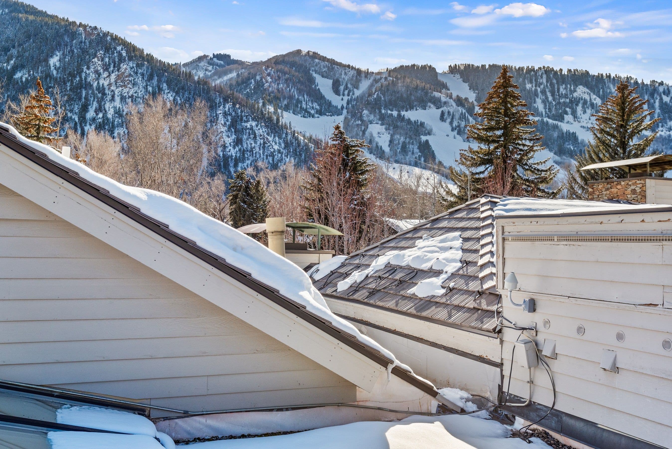 990 E Hopkins Avenue, Aspen, CO 81611 - Photo 10
