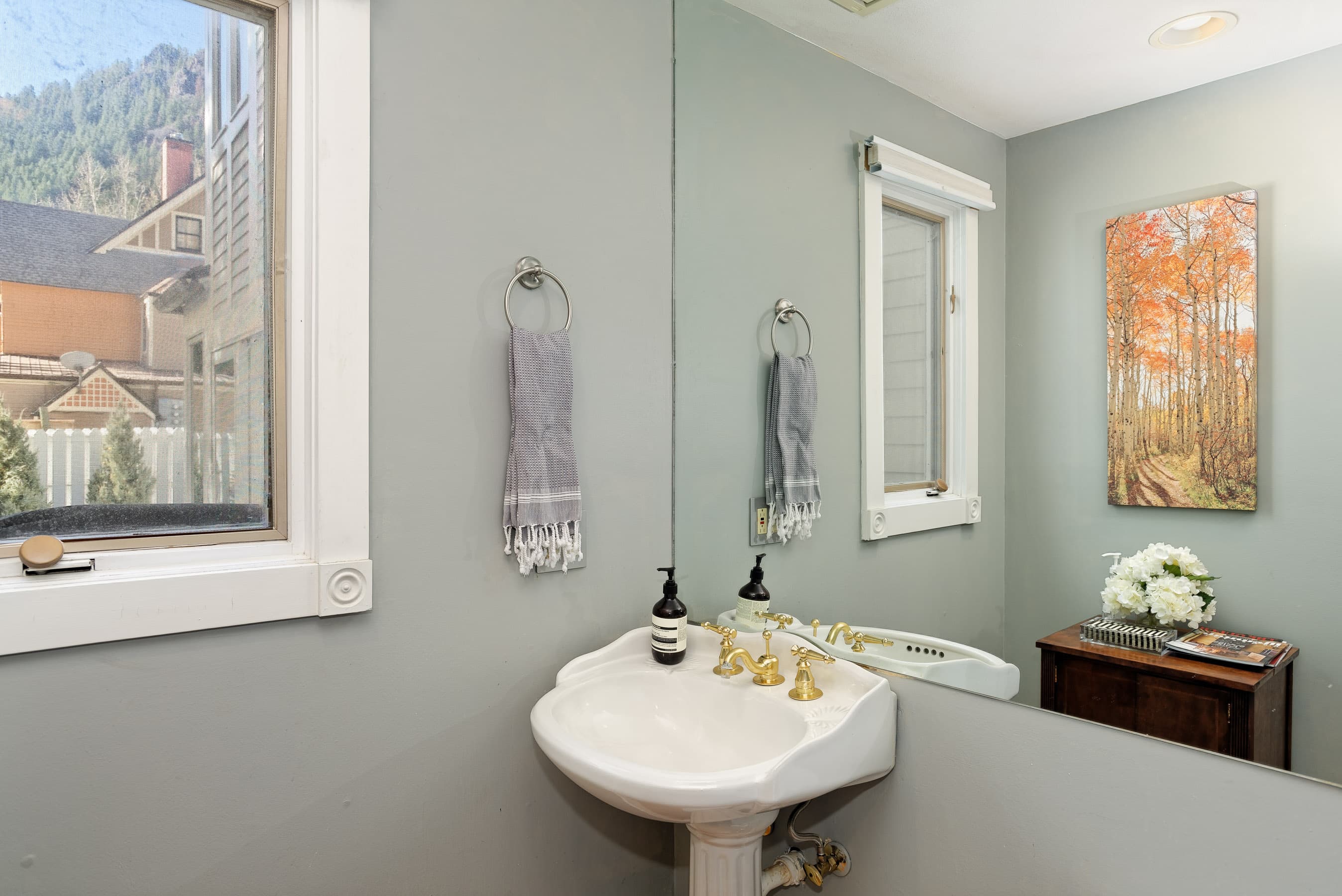 401 W Bleeker Street, Aspen, CO 81611 - Photo 4