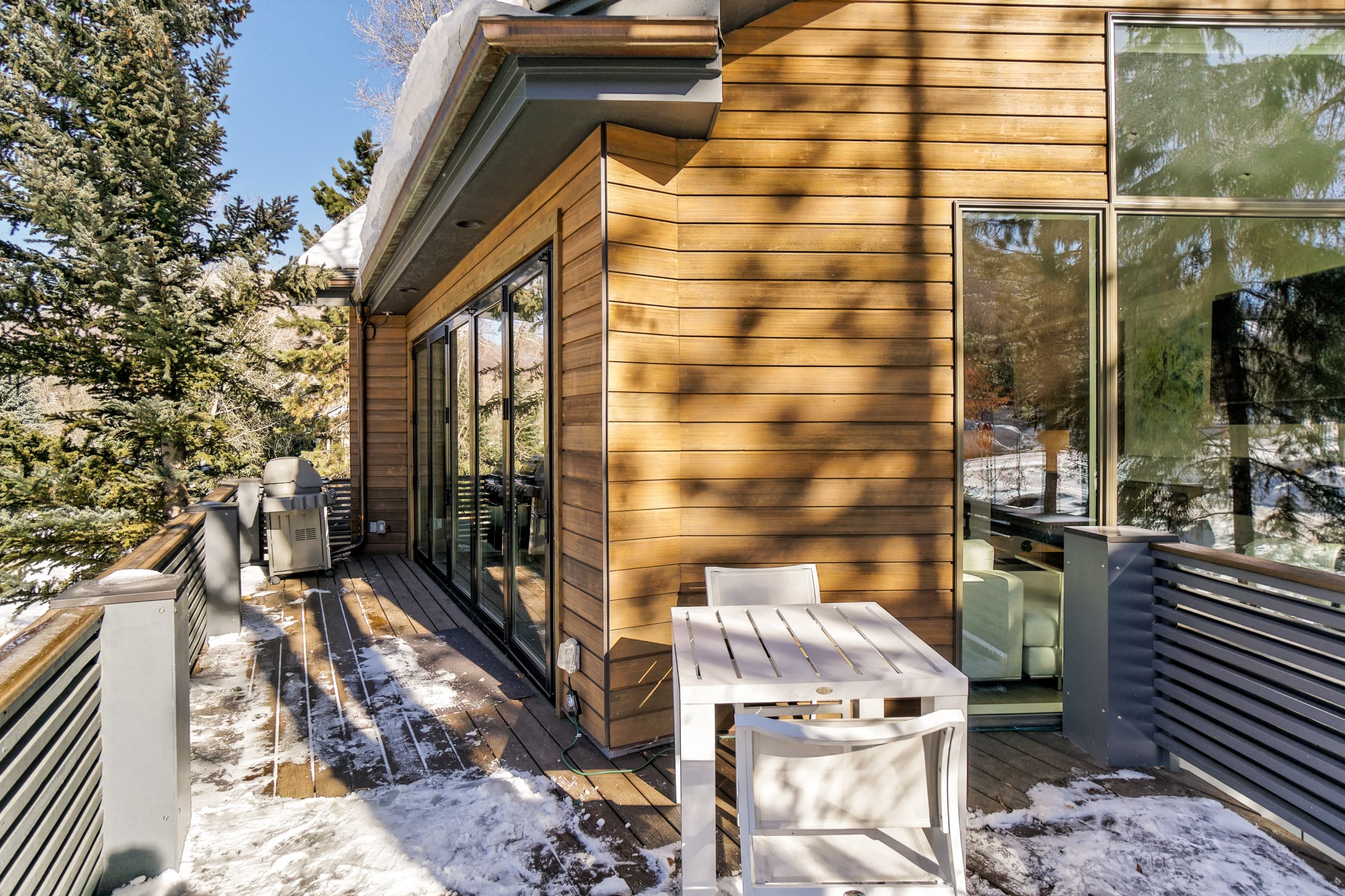 100 Park Avenue, Aspen, CO 81611 - Photo 10