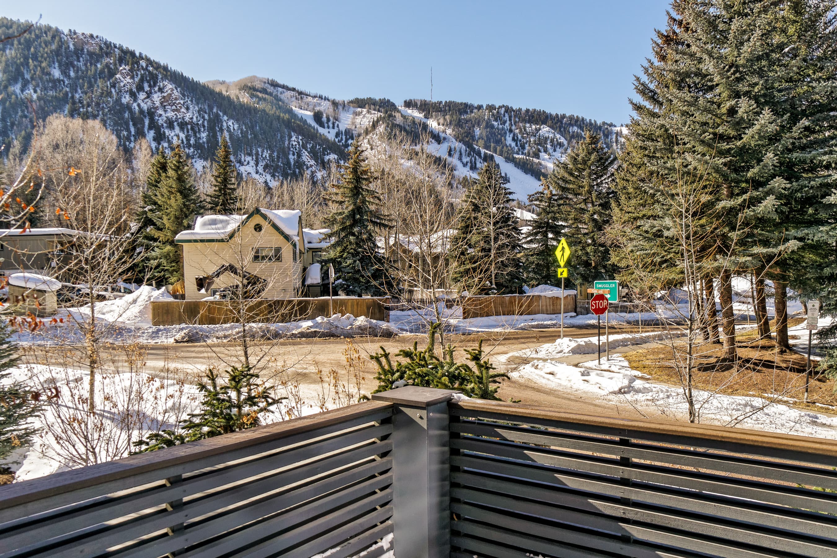100 Park Avenue, Aspen, CO 81611 - Photo 12