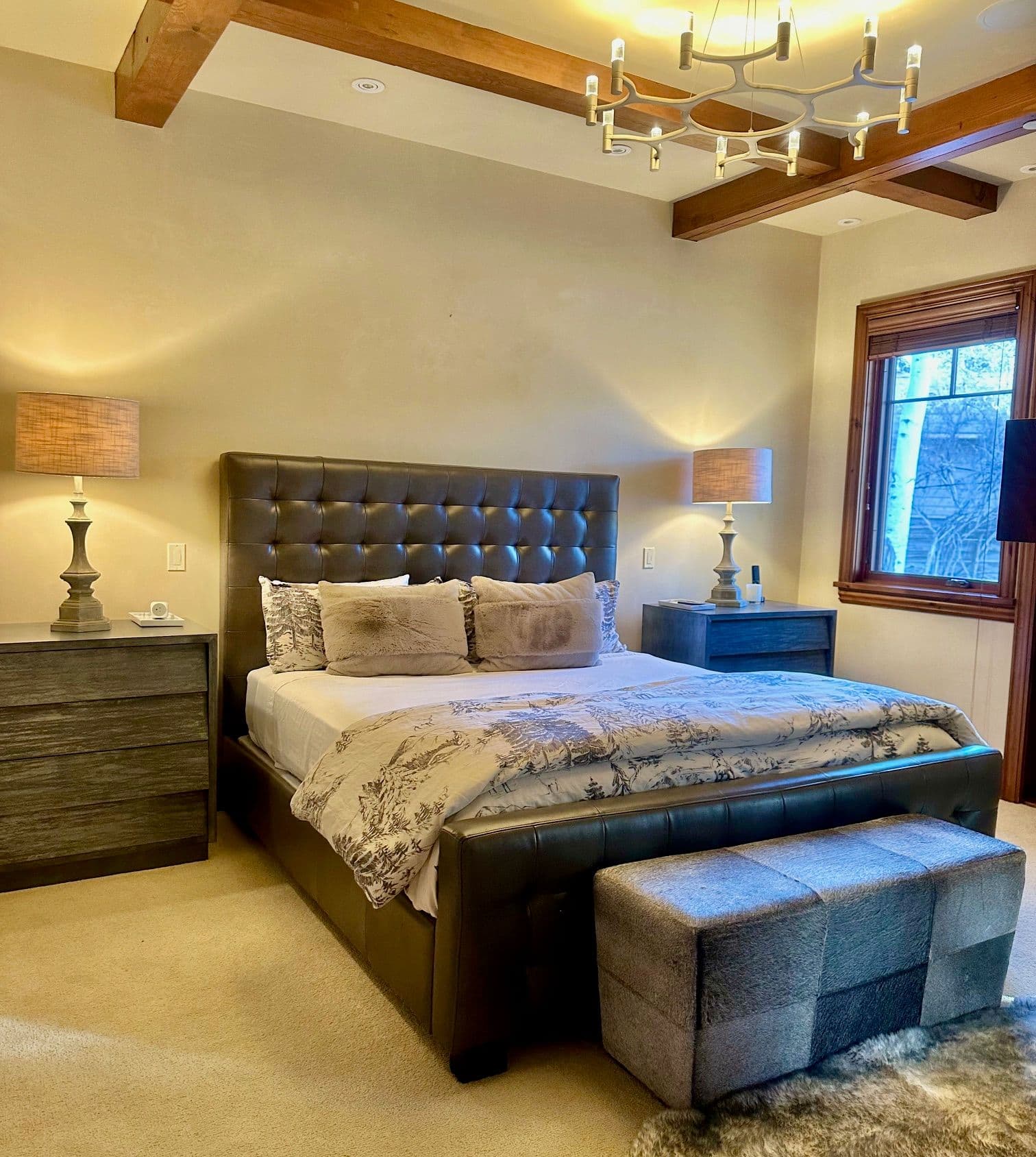 1395 Snowbunny Lane, Aspen, CO 81611 - Photo 9