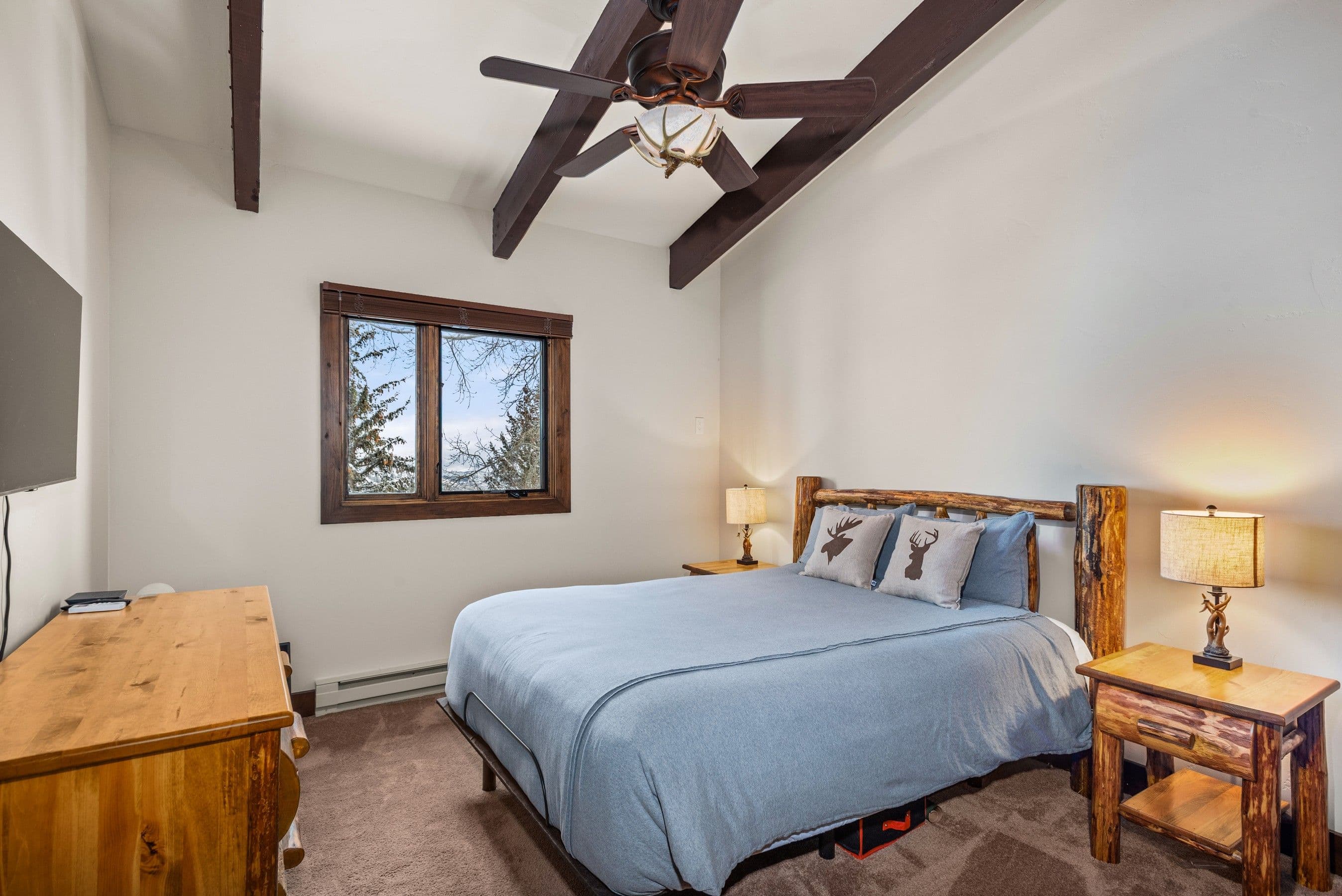 690 Carriage Way 3a & B, Snowmass Village, CO 81615 - Photo 16
