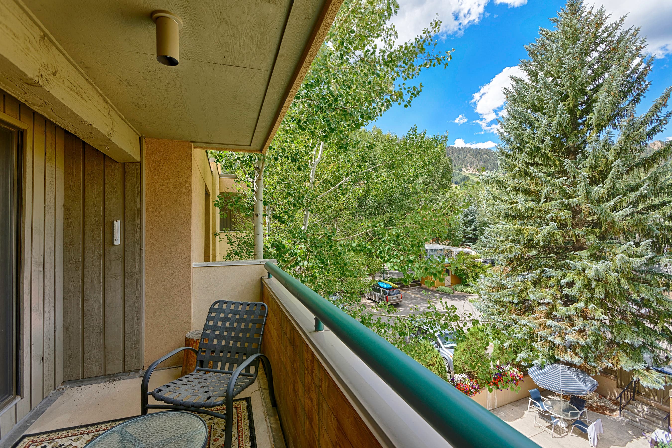 1028 E Hopkins Avenue Unit #24, Aspen, CO 81611 - Photo 16