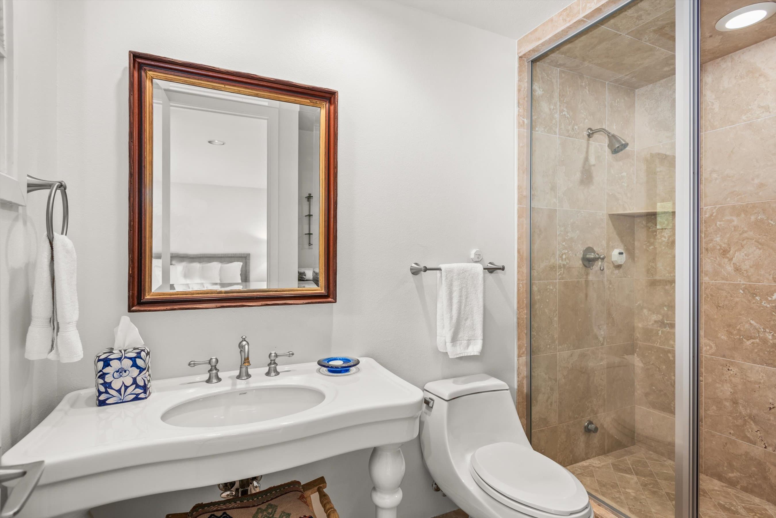 123 W Hyman Avenue Unit A, Aspen, CO 81611 - Photo 36