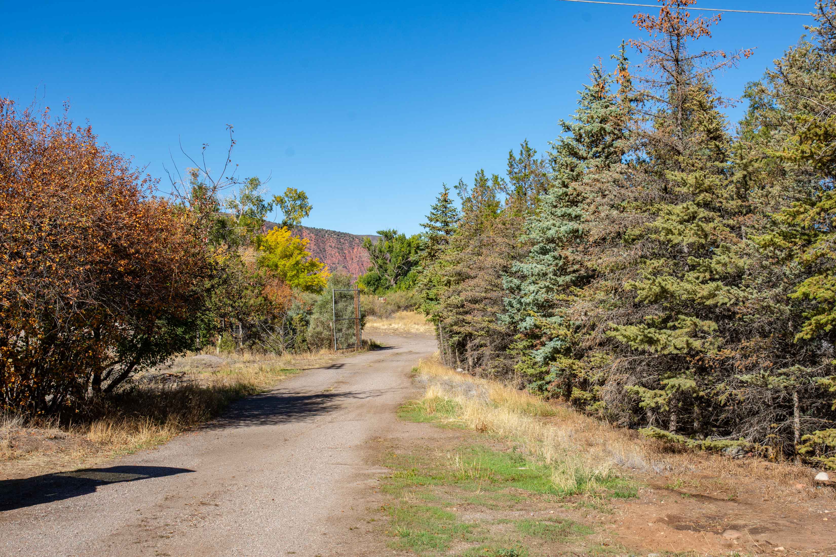 21401 Highway 82, Basalt, CO 81621 - Photo 15