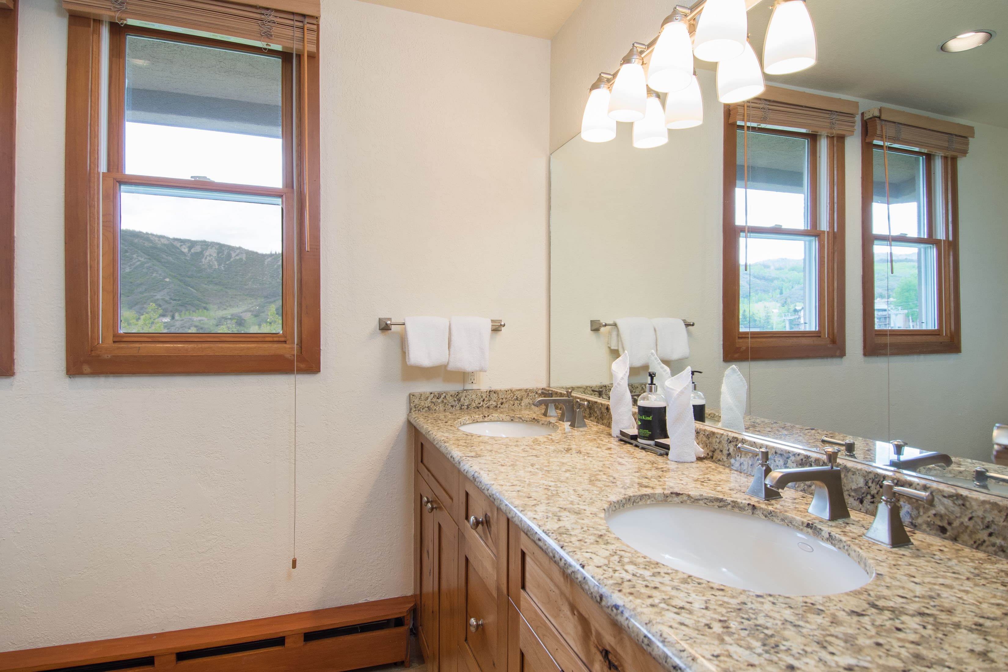 425 Wood Road 48, Snowmass Village, CO 81615 - Photo 21