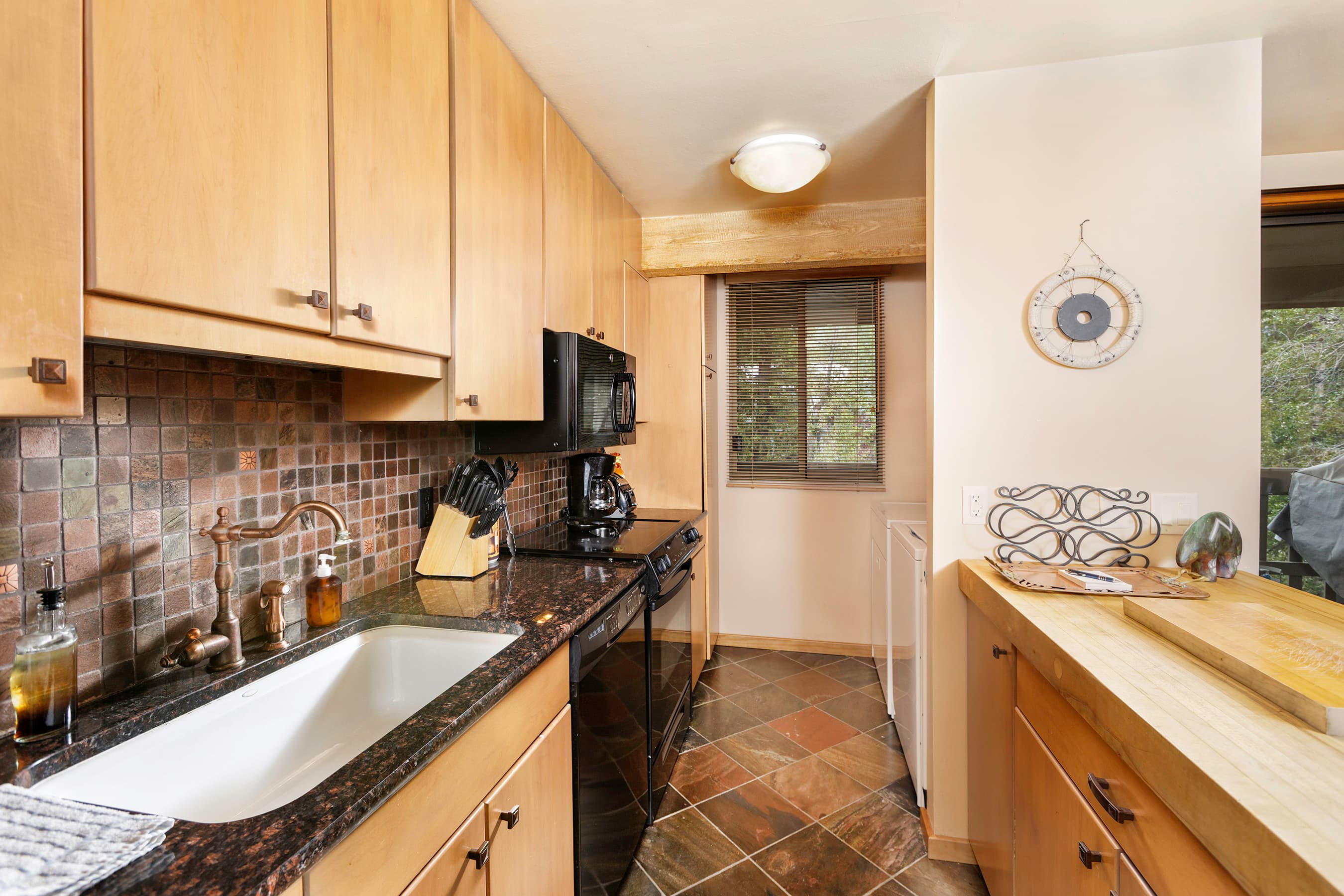 1028 E Hopkins Avenue Unit #24, Aspen, CO 81611 - Photo 11