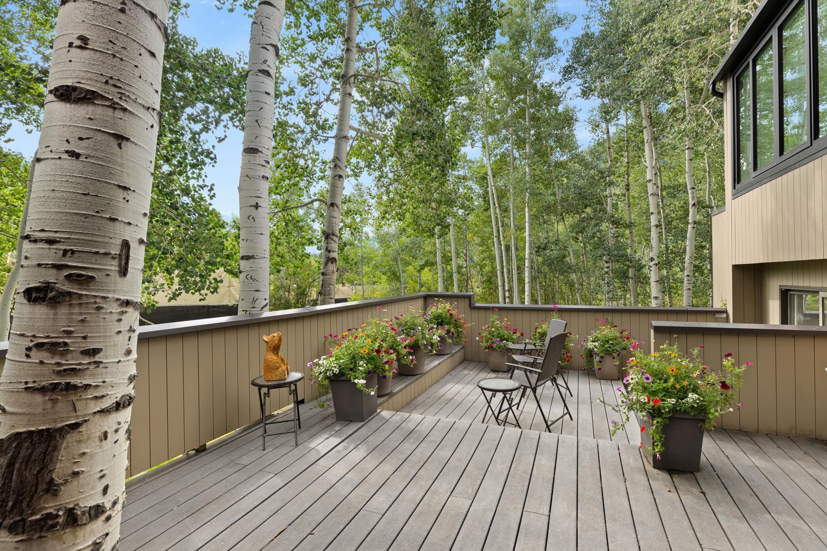 1443 Crystal Lake Road 3E, Aspen, CO 81611 - Photo 33