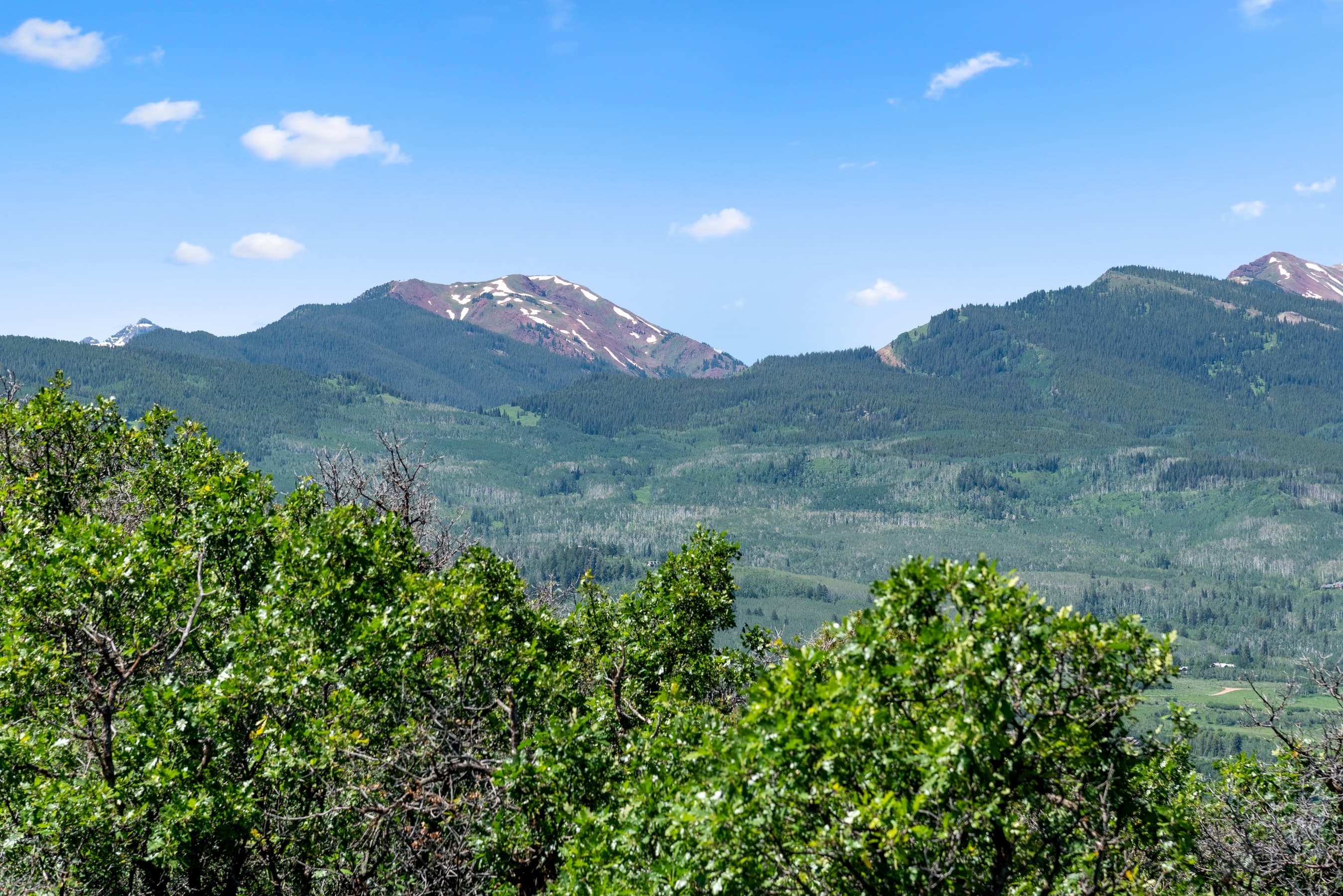 TBD Trentaz Drive, Aspen, CO 81611 - Photo 29