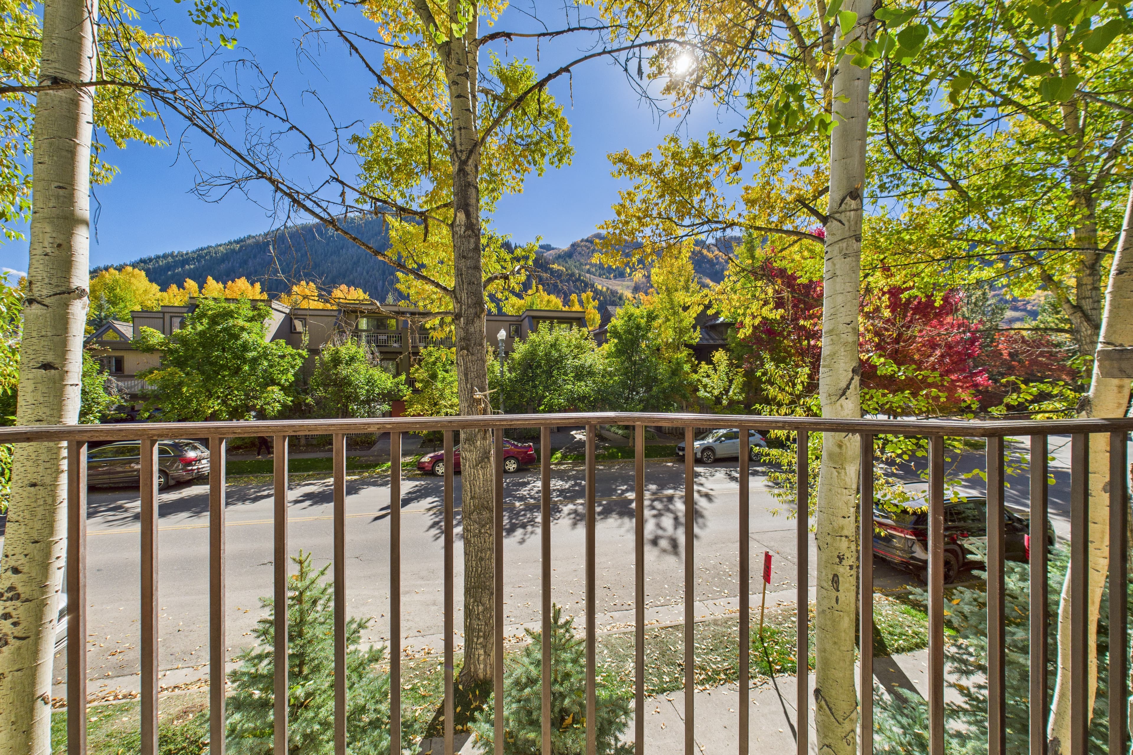 914 E Cooper Avenue, Aspen, CO 81611 - Photo 43