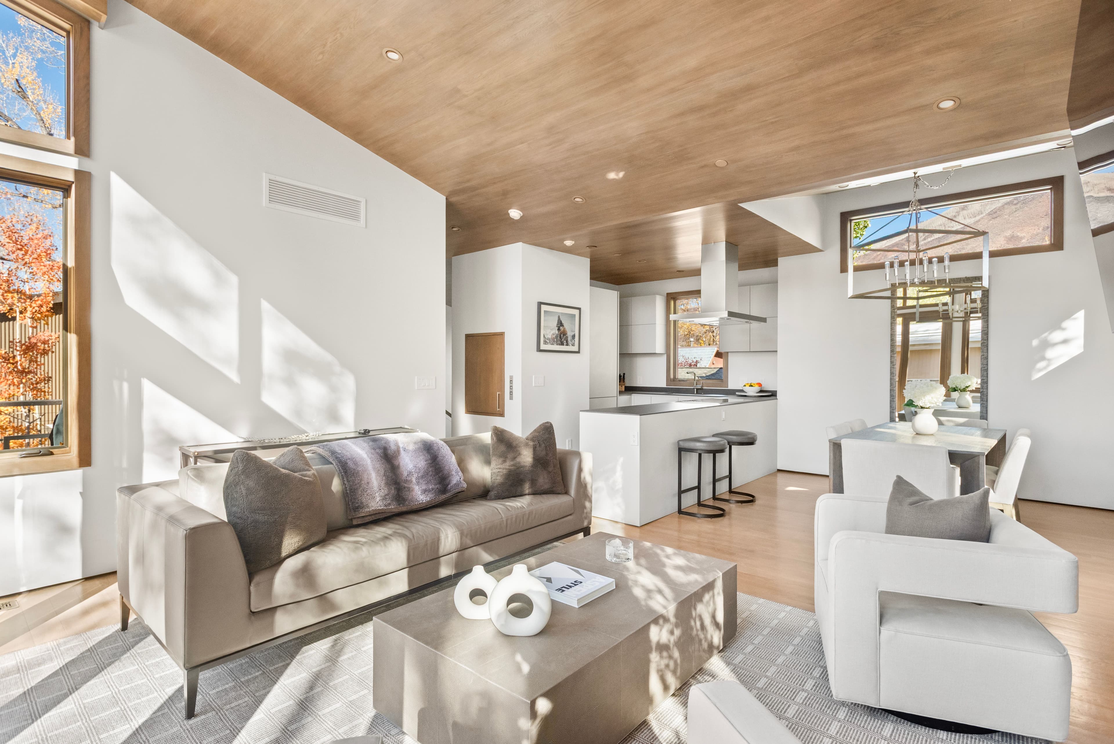 522 Spruce Street, Aspen, CO 81611 - Photo 12