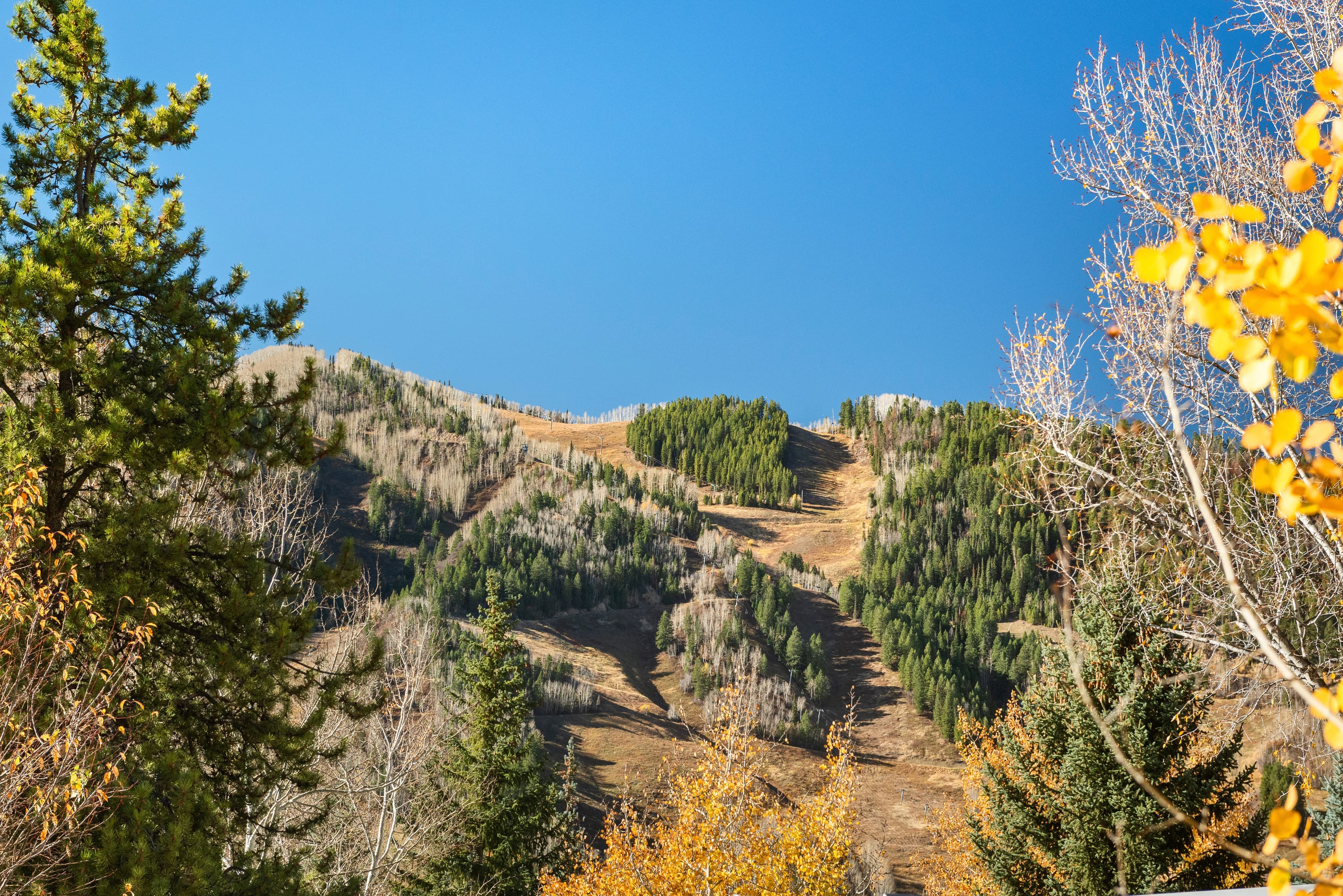 522 Spruce Street, Aspen, CO 81611 - Photo 5