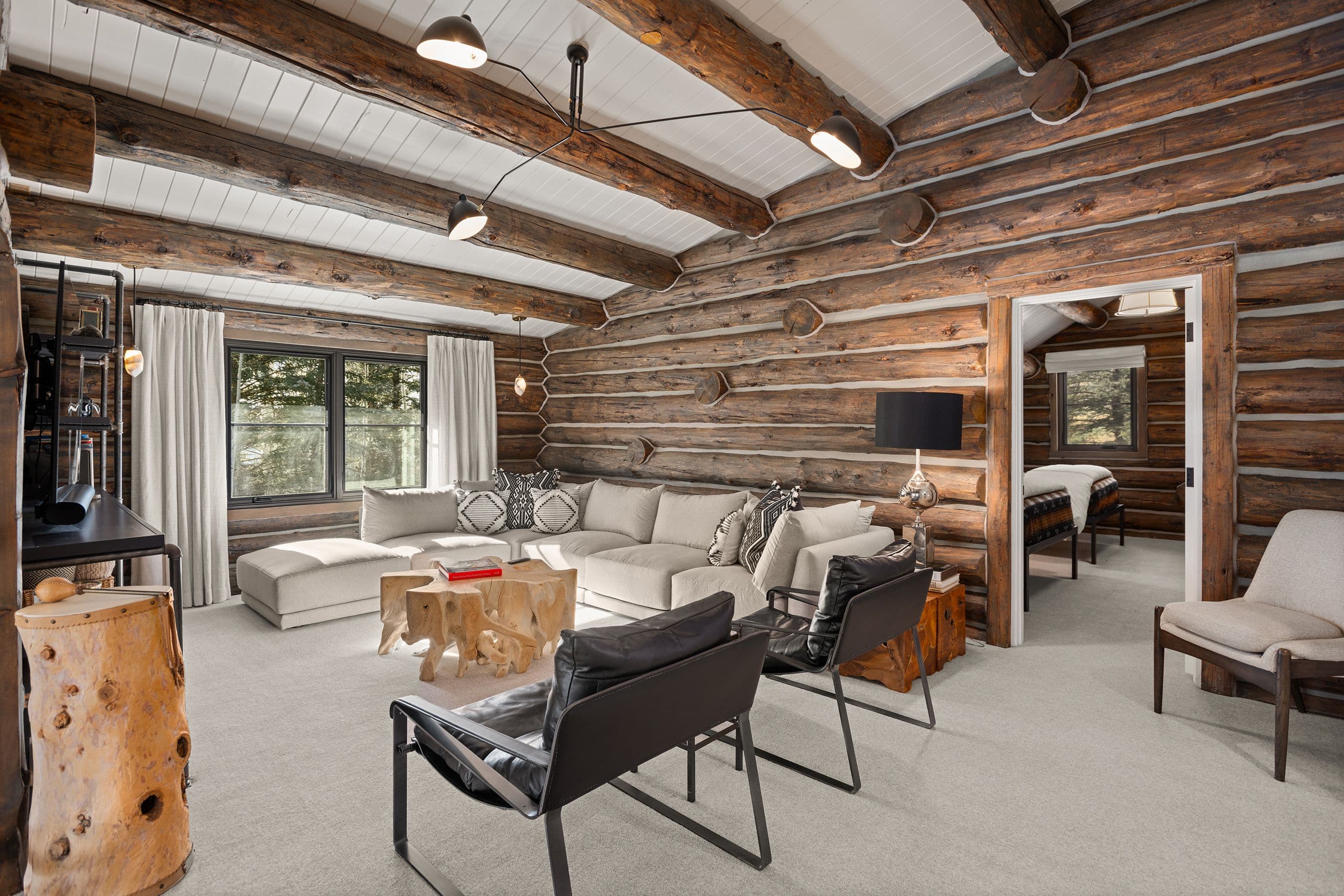 103 Alexander Avenue, Snowmass, CO 81654 - Photo 6