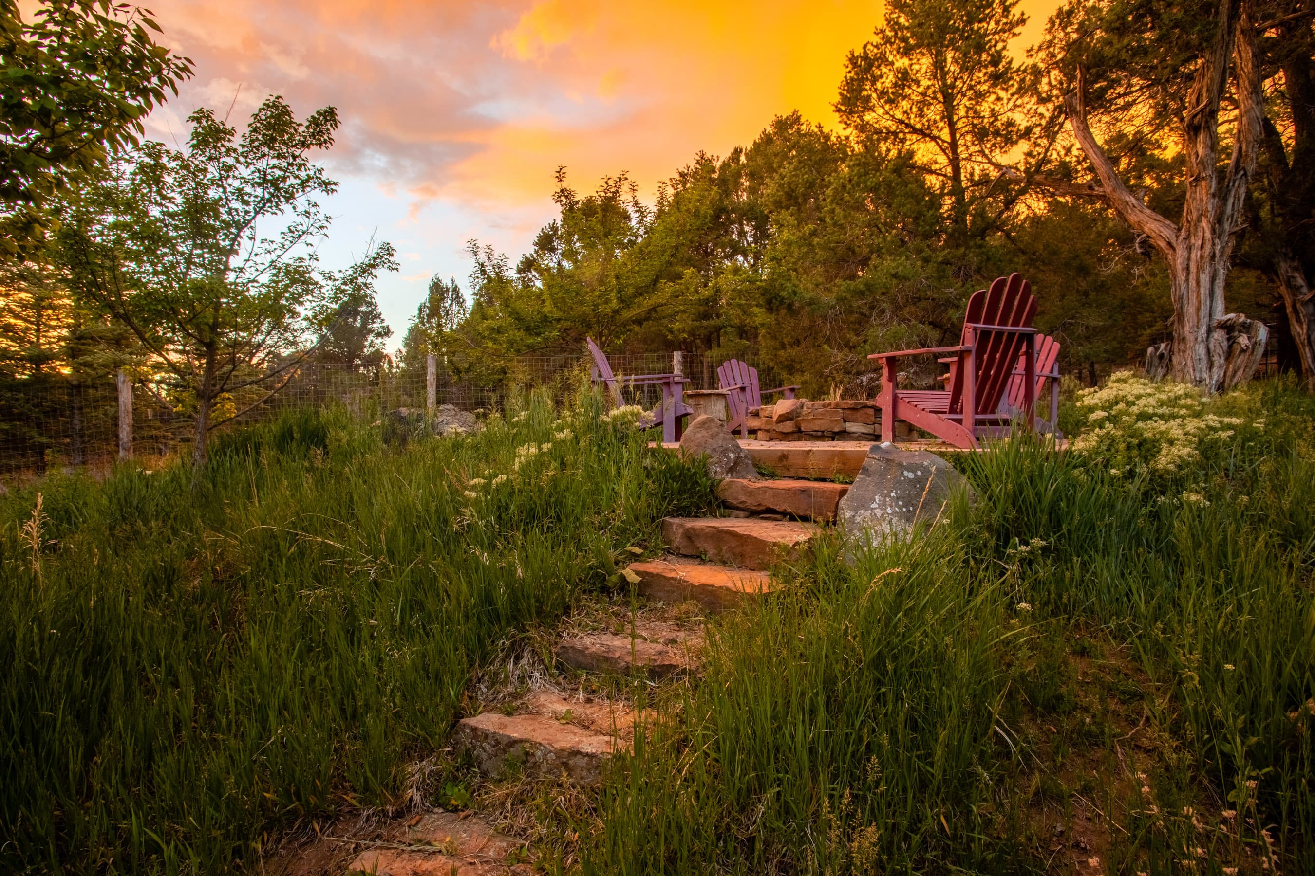 665 Callicotte Ranch Drive, Carbondale, CO 81623 - Photo 3