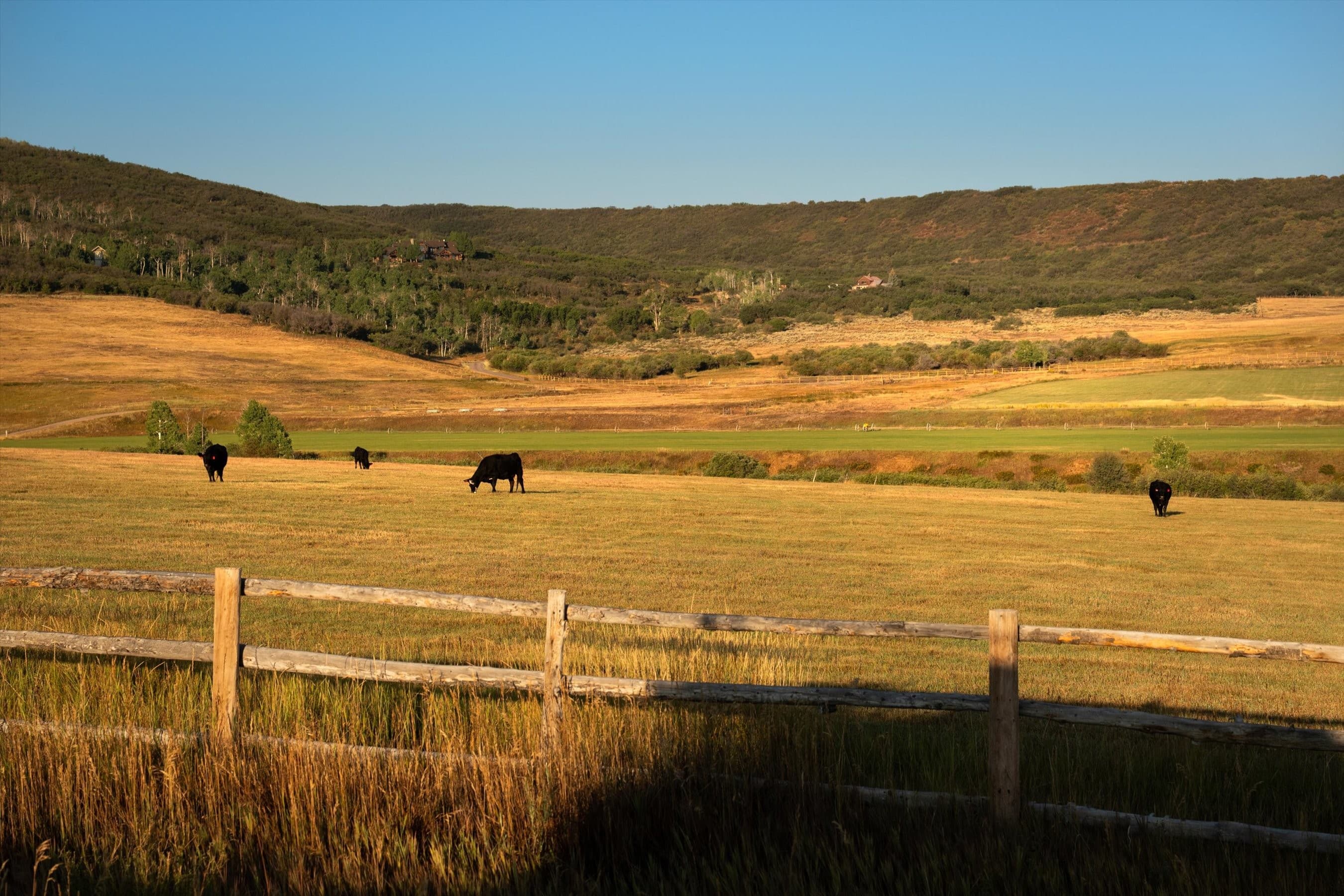 Tbd Old Herron Road, Basalt, CO 81621 - Photo 11