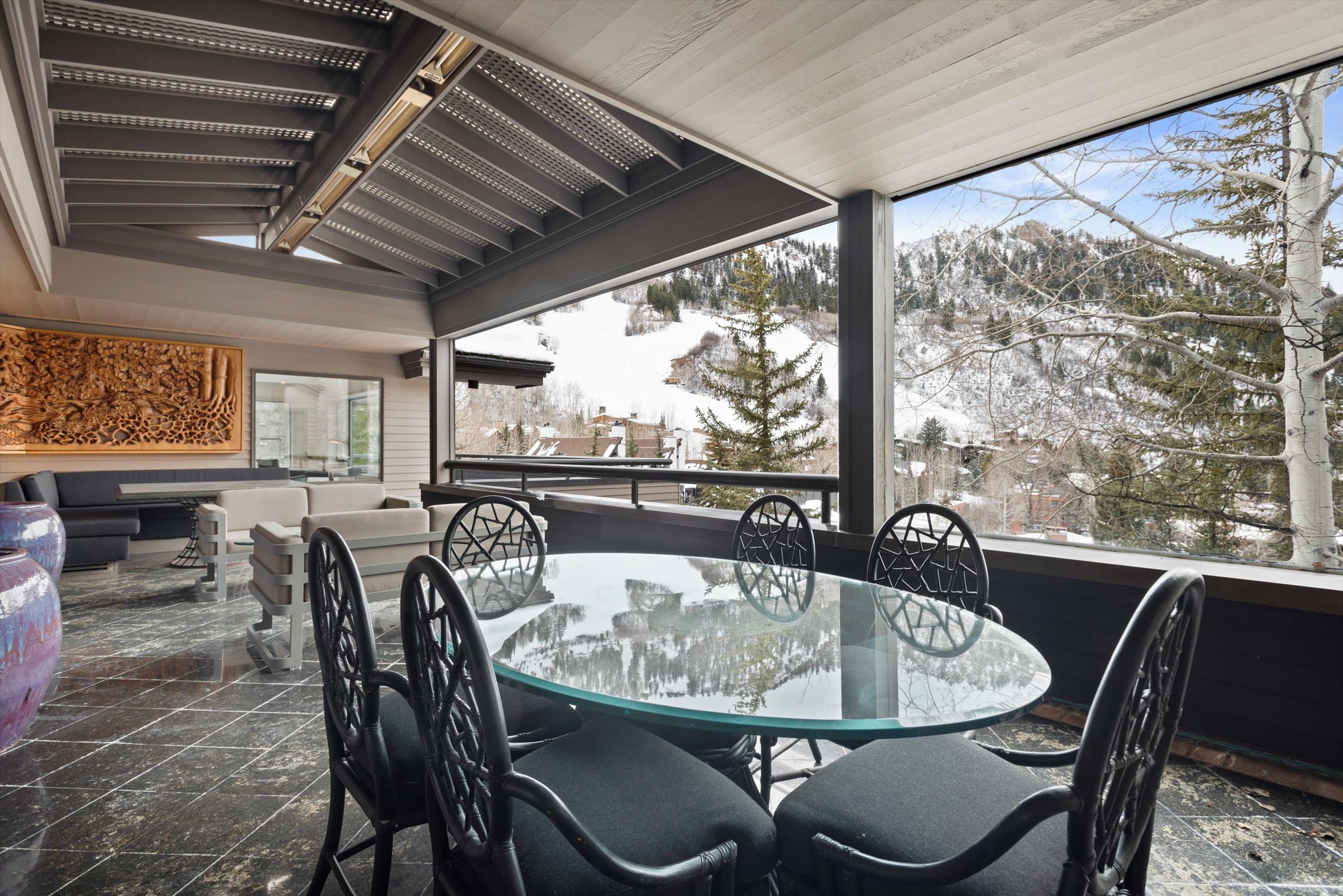 730 S Galena Street, Aspen, CO 81611 - Photo 36