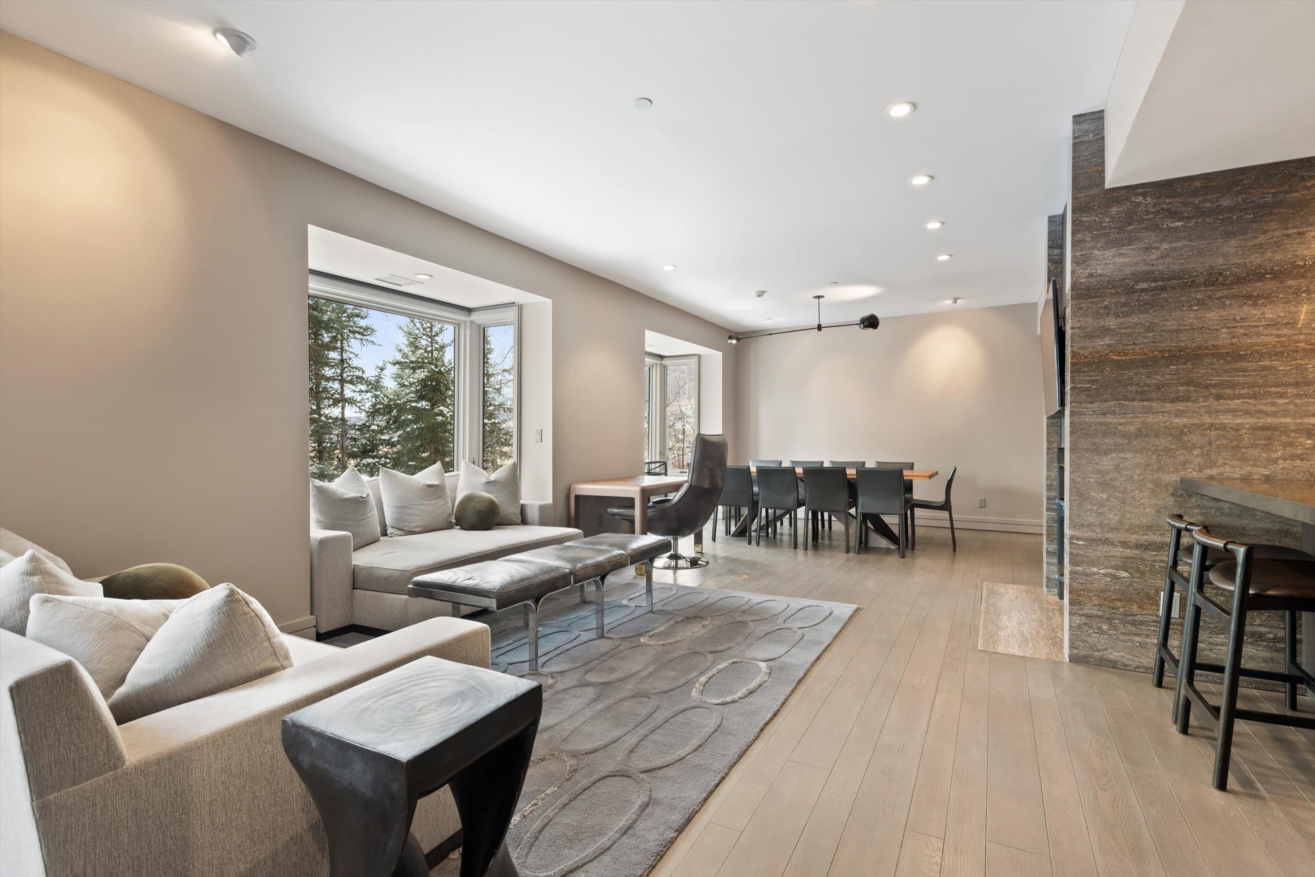 730 S Galena Street, Aspen, CO 81611 - Photo 46