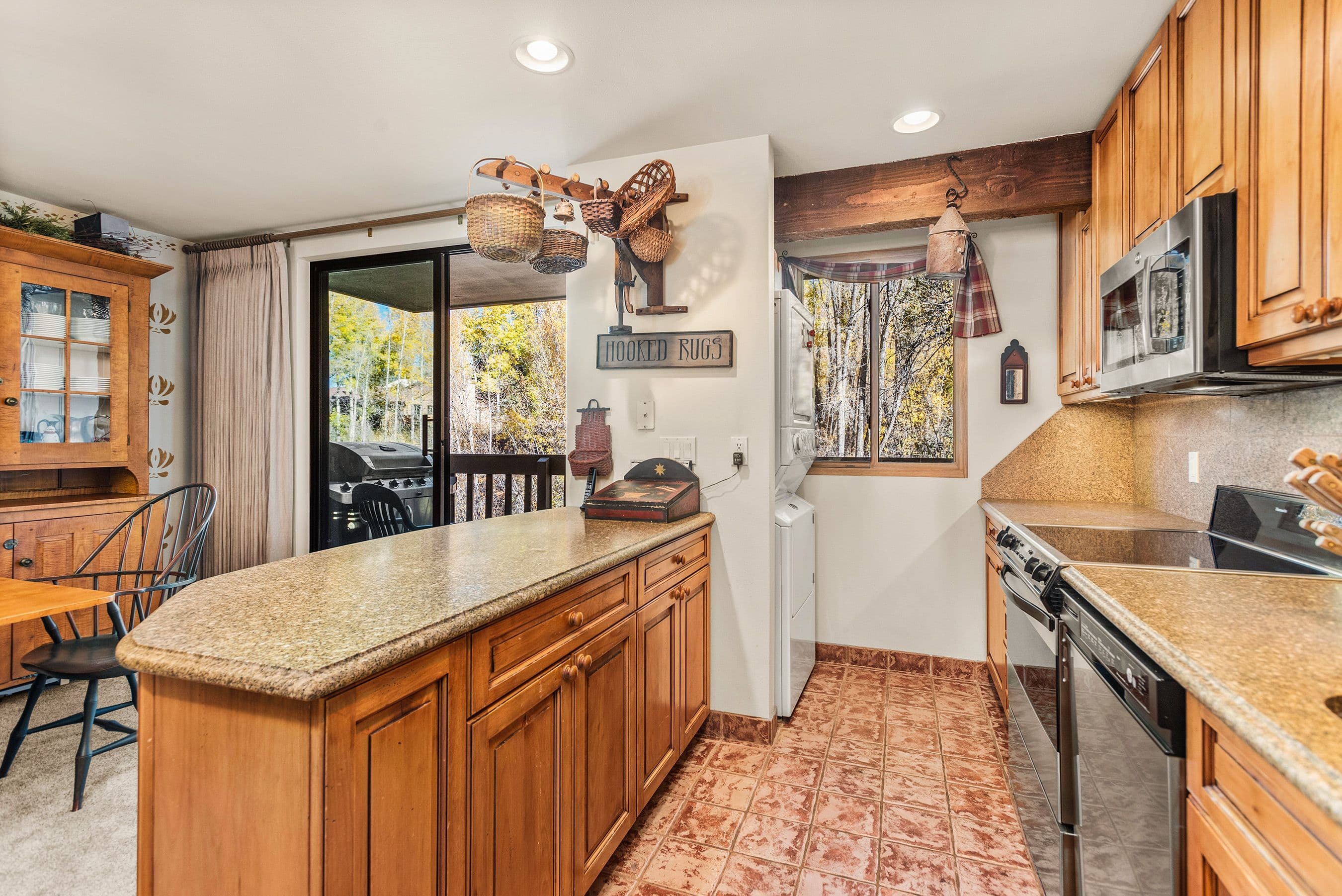 1024 E Hopkins Avenue 12, Aspen, CO 81611 - Photo 9
