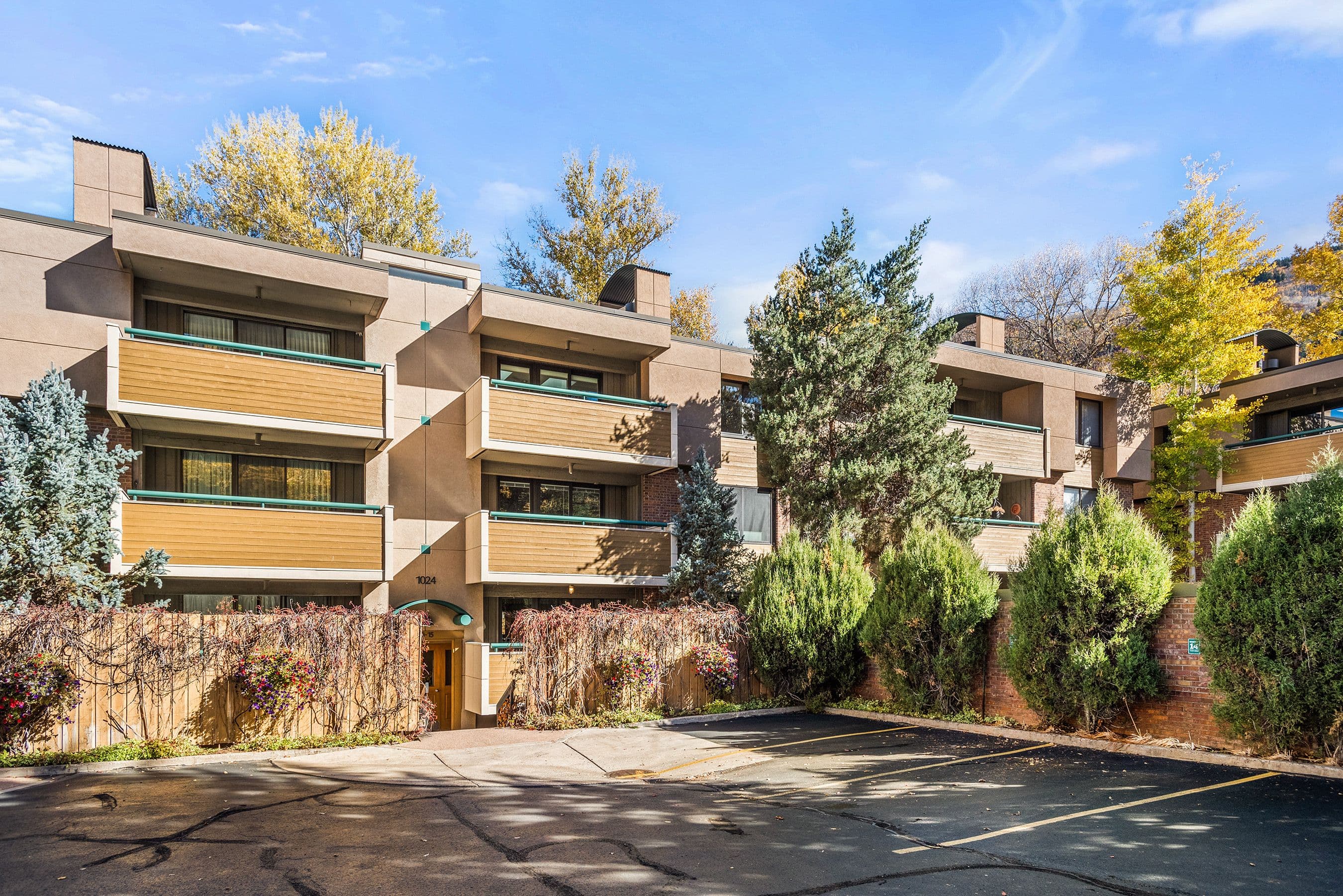 1024 E Hopkins Avenue 12, Aspen, CO 81611 - Photo 5
