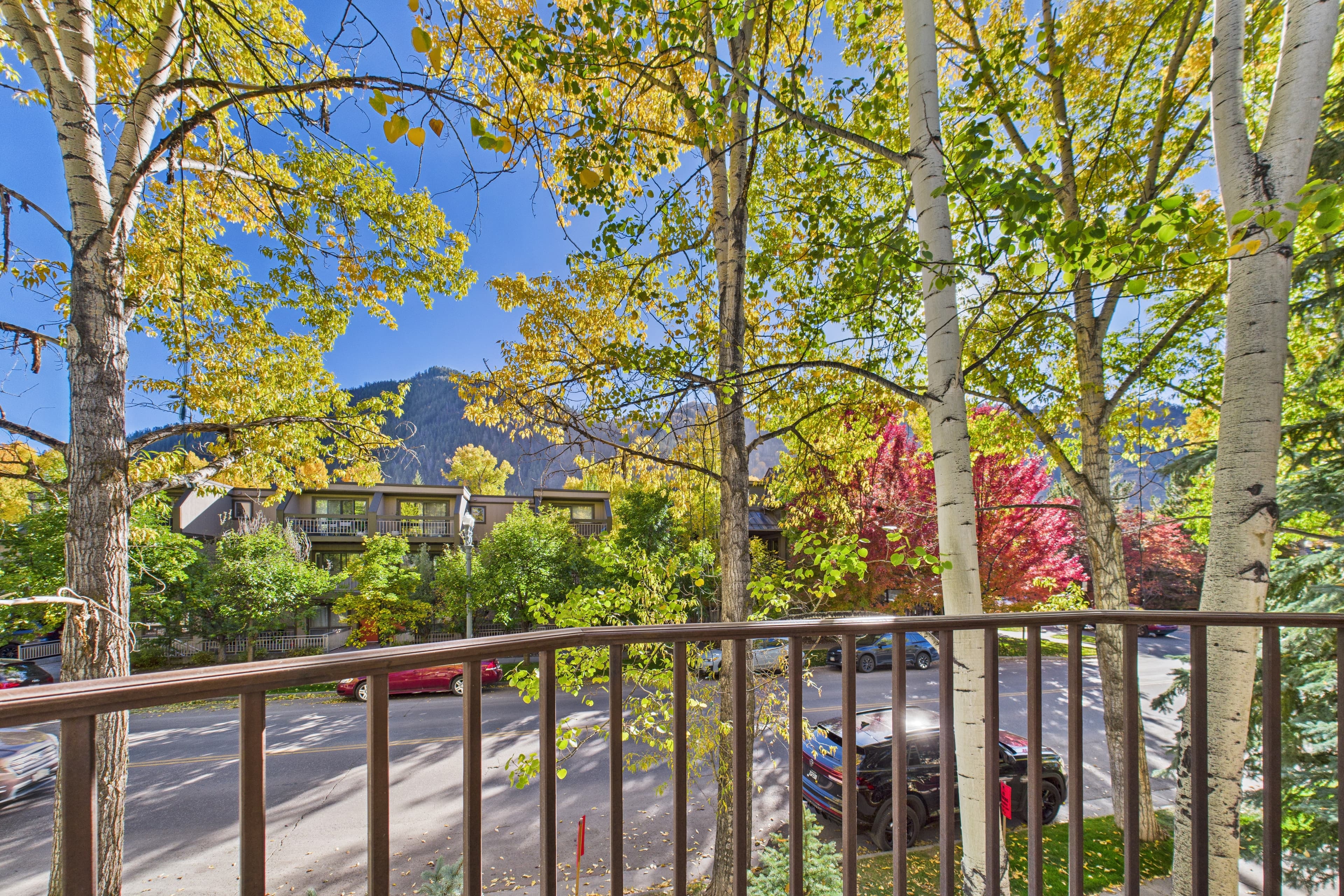 910 E Cooper Avenue, Aspen, CO 81611 - Photo 26