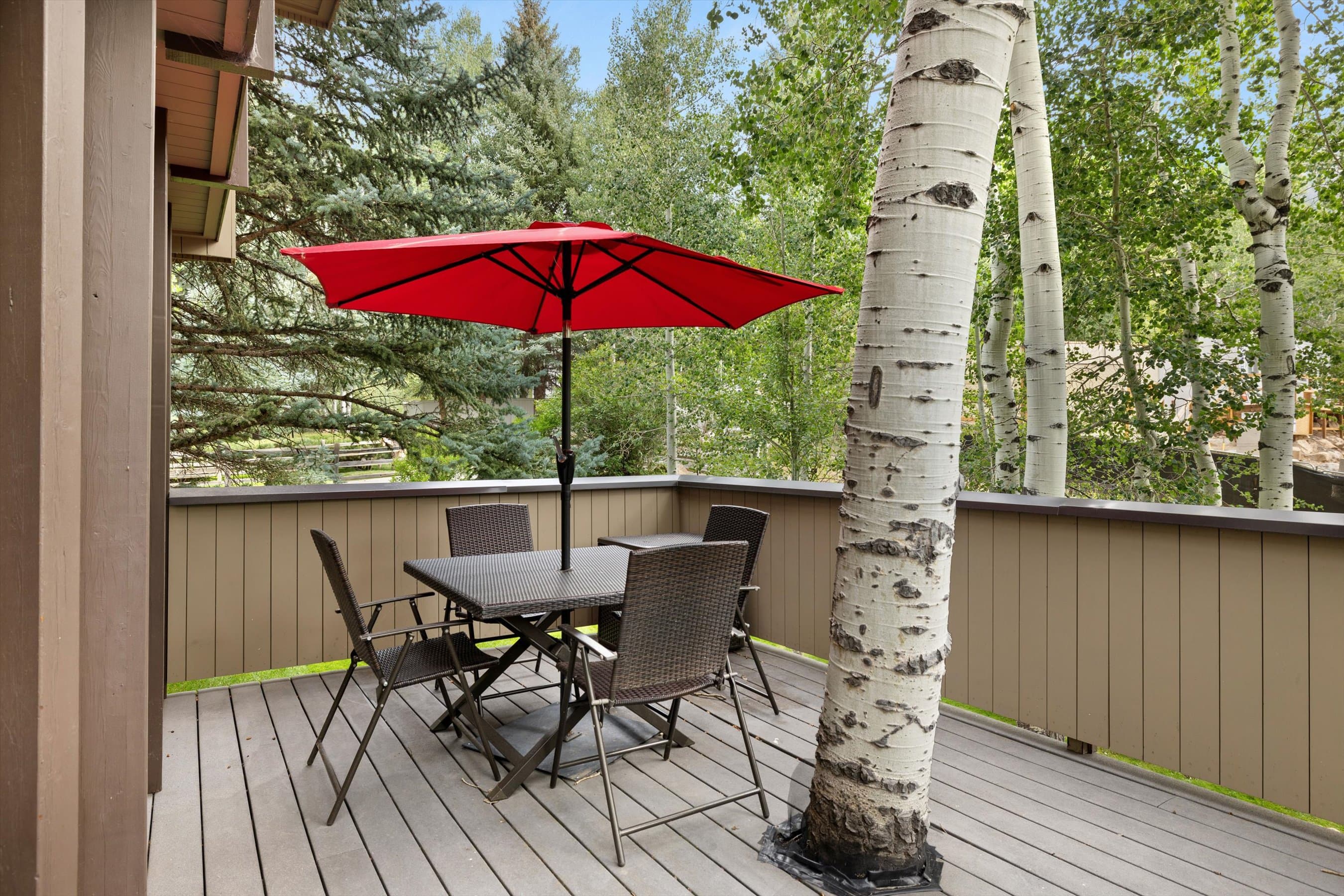 1443 Crystal Lake Road 3E, Aspen, CO 81611 - Photo 22