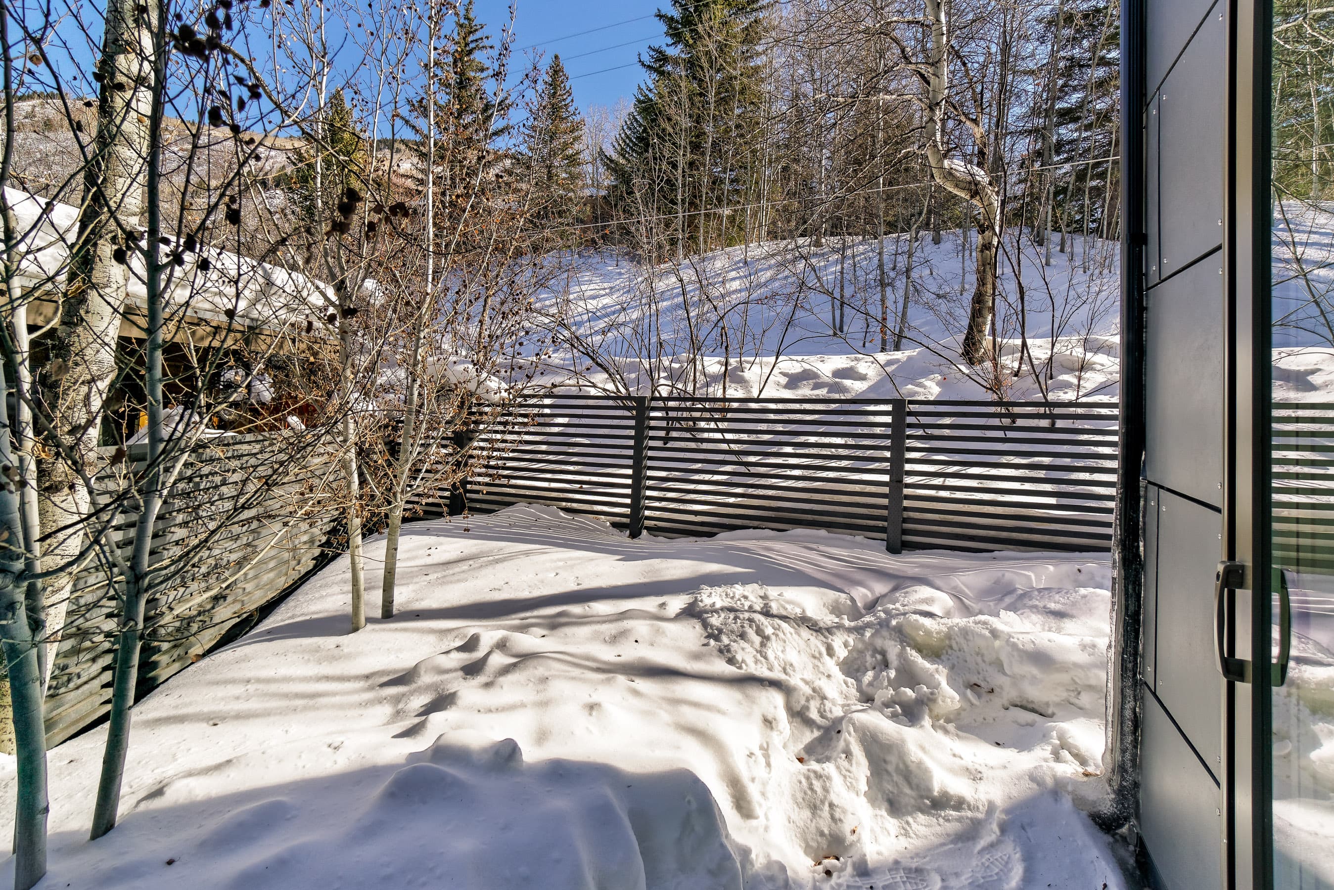 100 Park Avenue, Aspen, CO 81611 - Photo 13