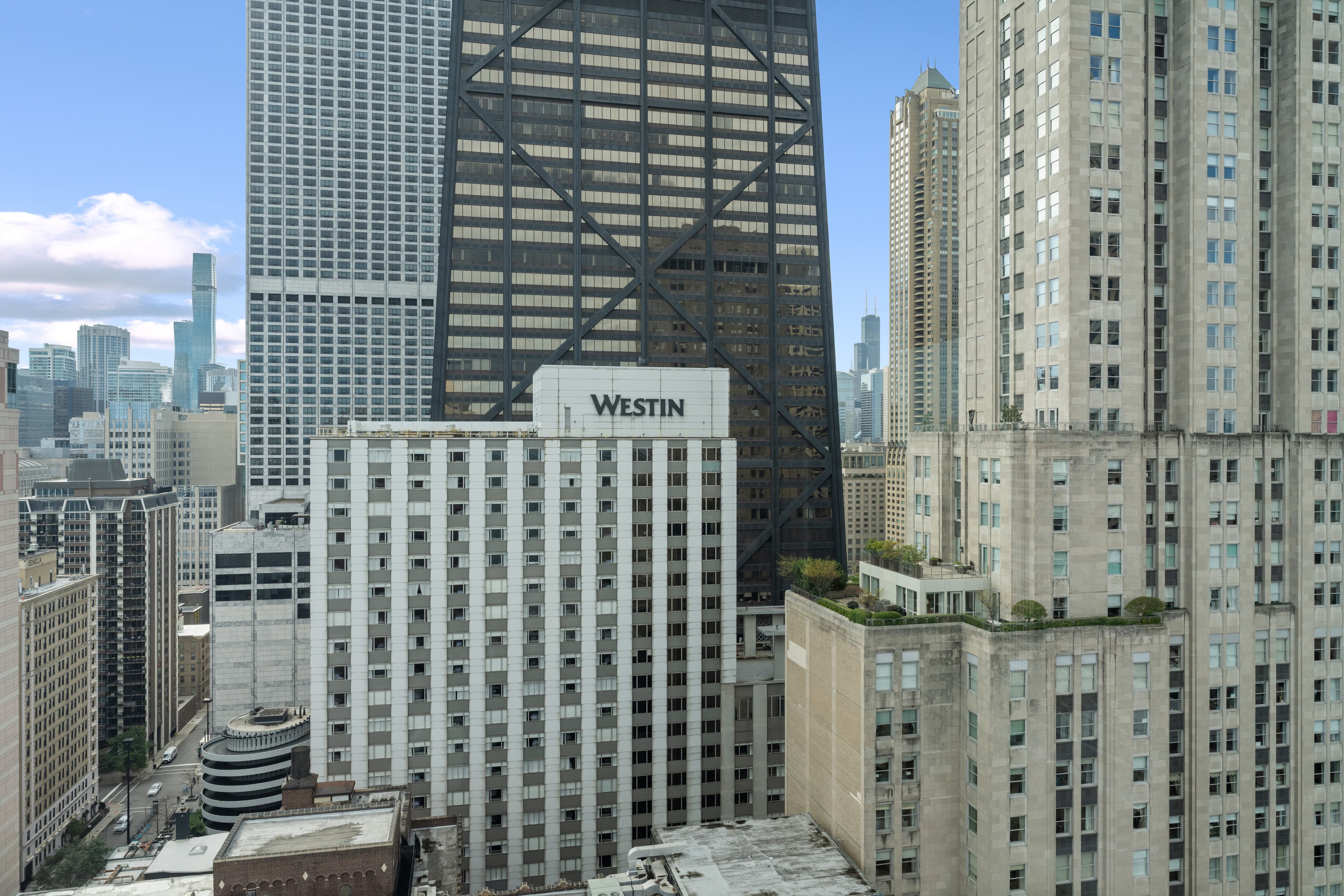 179 E Lake Shore Drive Unit# 25W - Photo 49