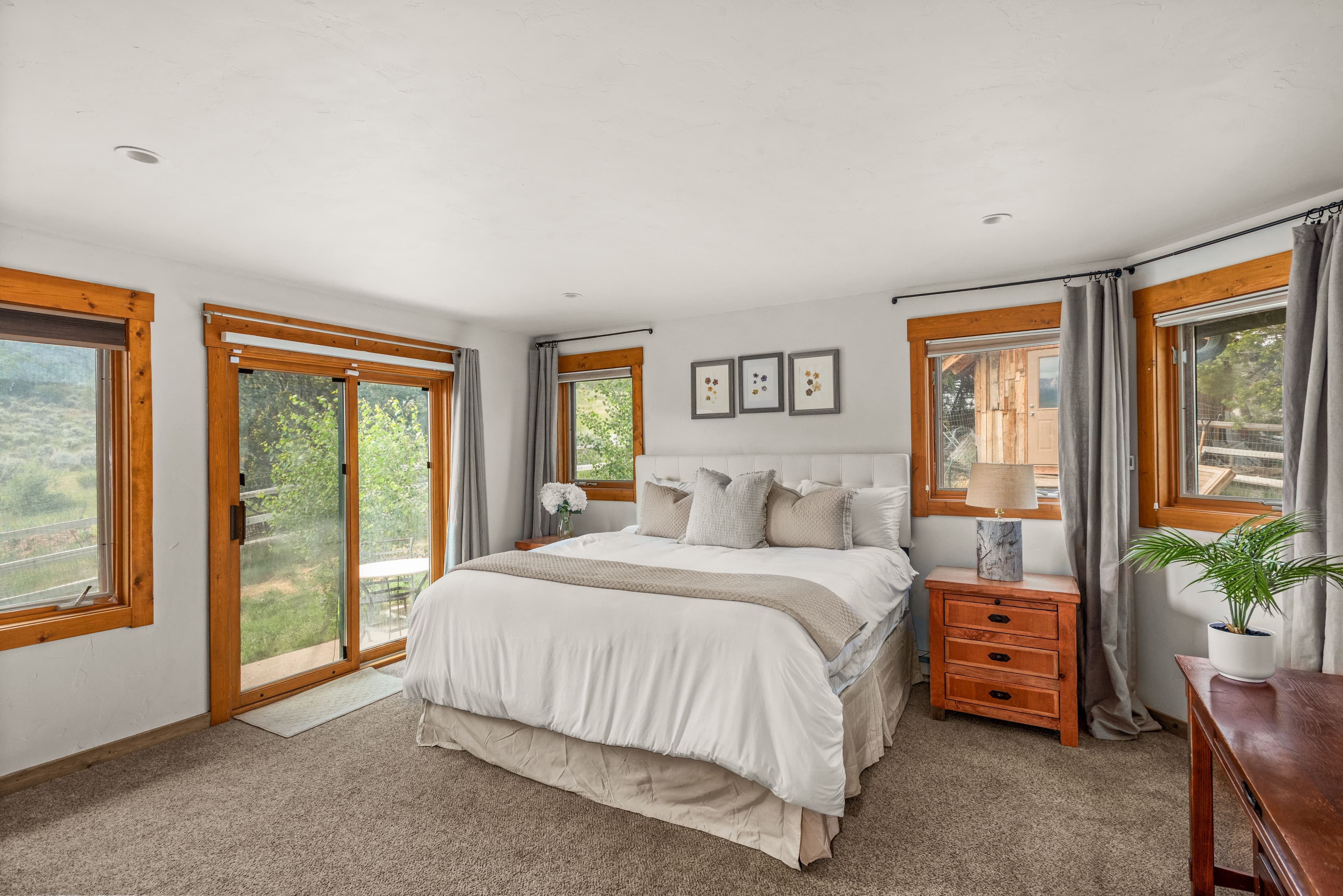 614 Light Hill Road, Snowmass, CO 81654 - Photo 15