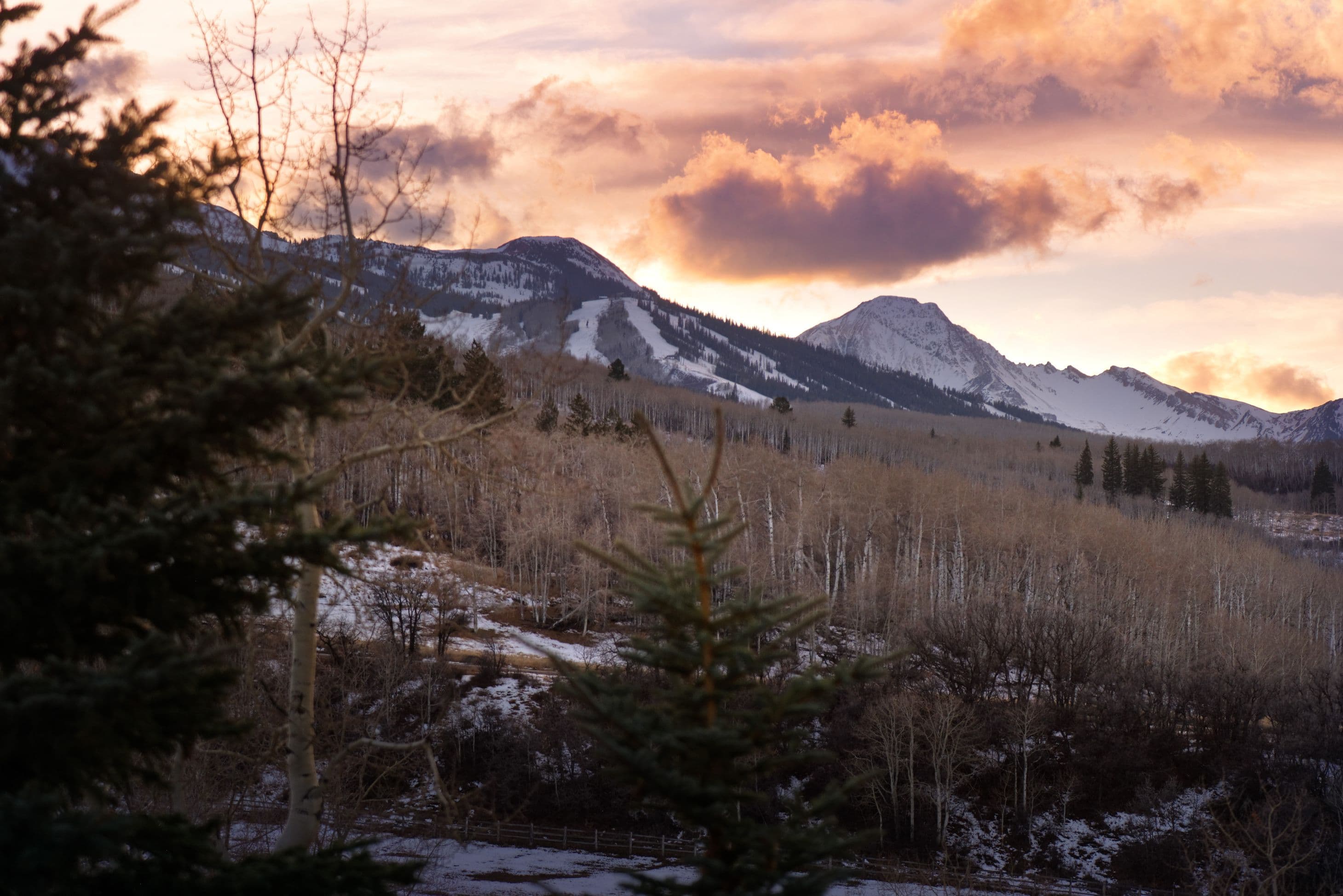 821 Cluny Road, Aspen, CO 81611 - Photo 33