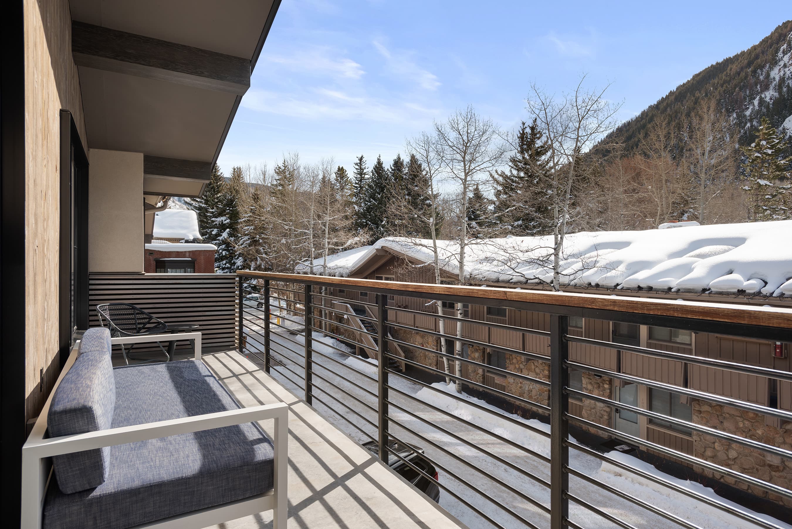 550 S Spring Street 392, Aspen, CO 81611 - Photo 41