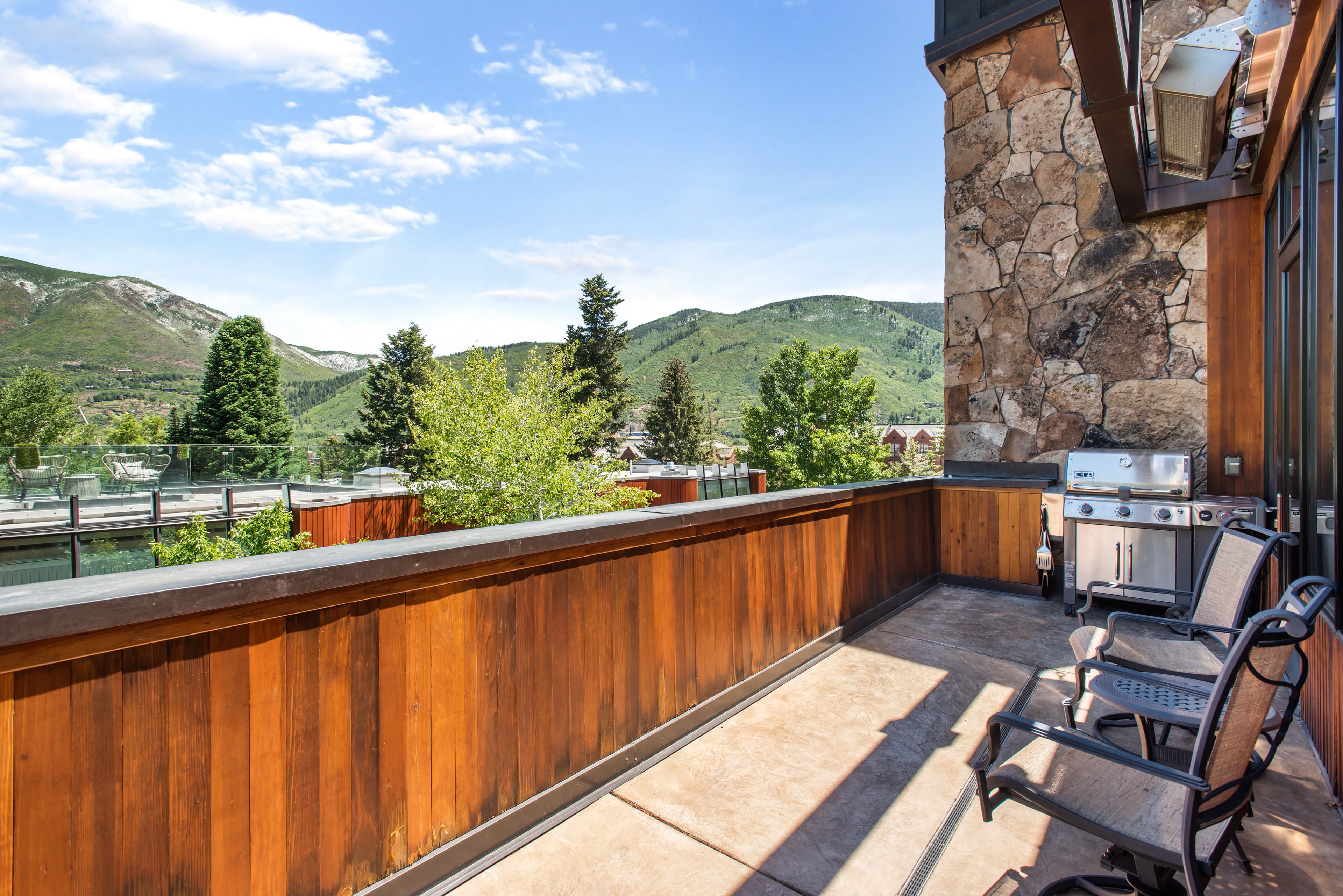 237 Gilbert Street, Aspen, CO 81611 - Photo 23
