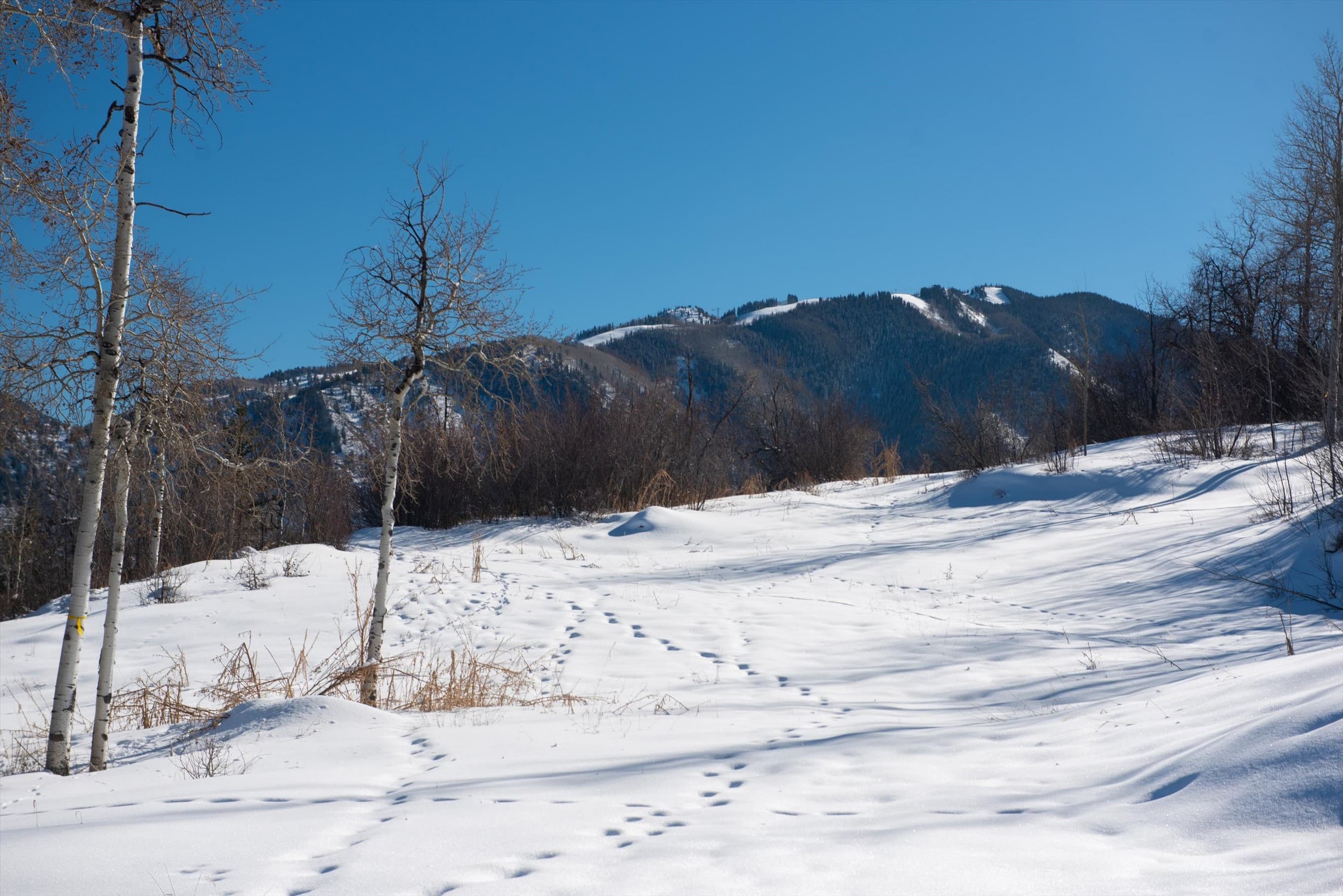 240 Buttermilk Lane, Aspen, CO 81611 - Photo 11