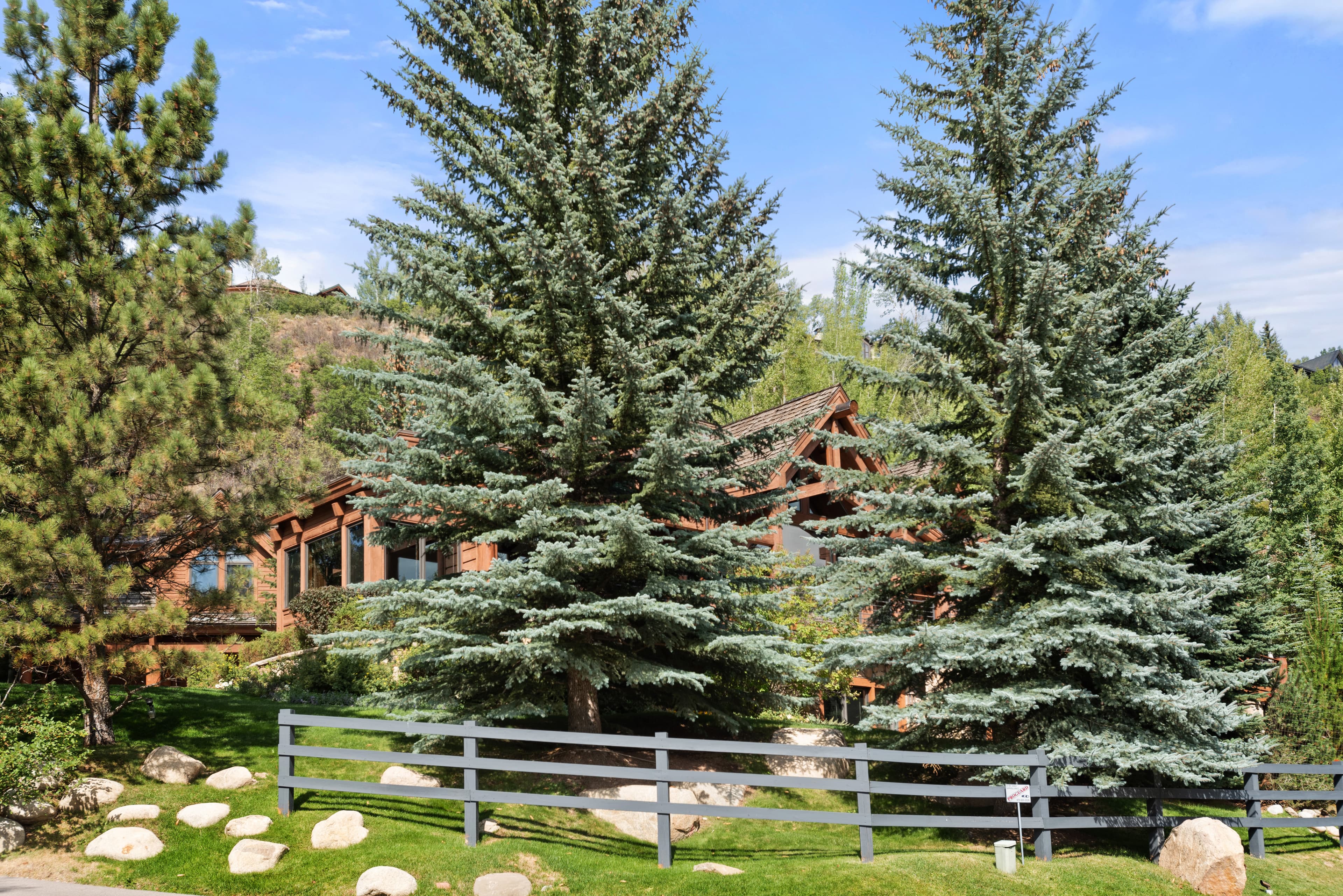 411 Willoughby Way, Aspen, CO 81611 - Photo 21