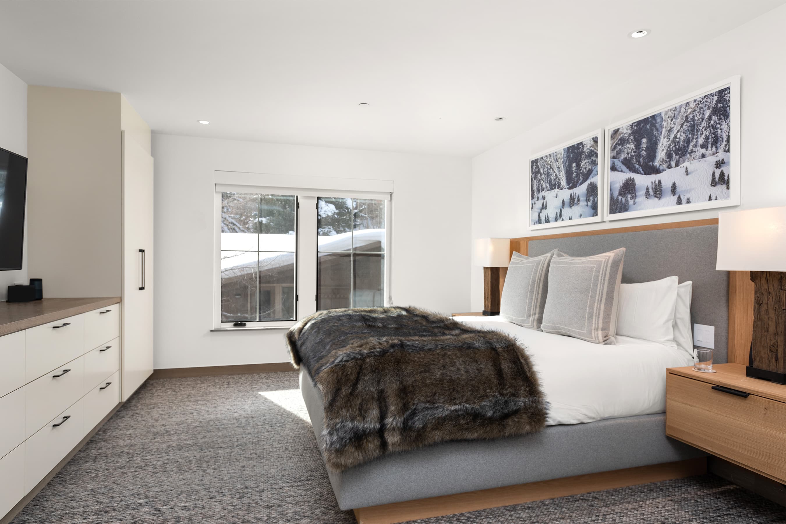 550 S Spring Street 392, Aspen, CO 81611 - Photo 5
