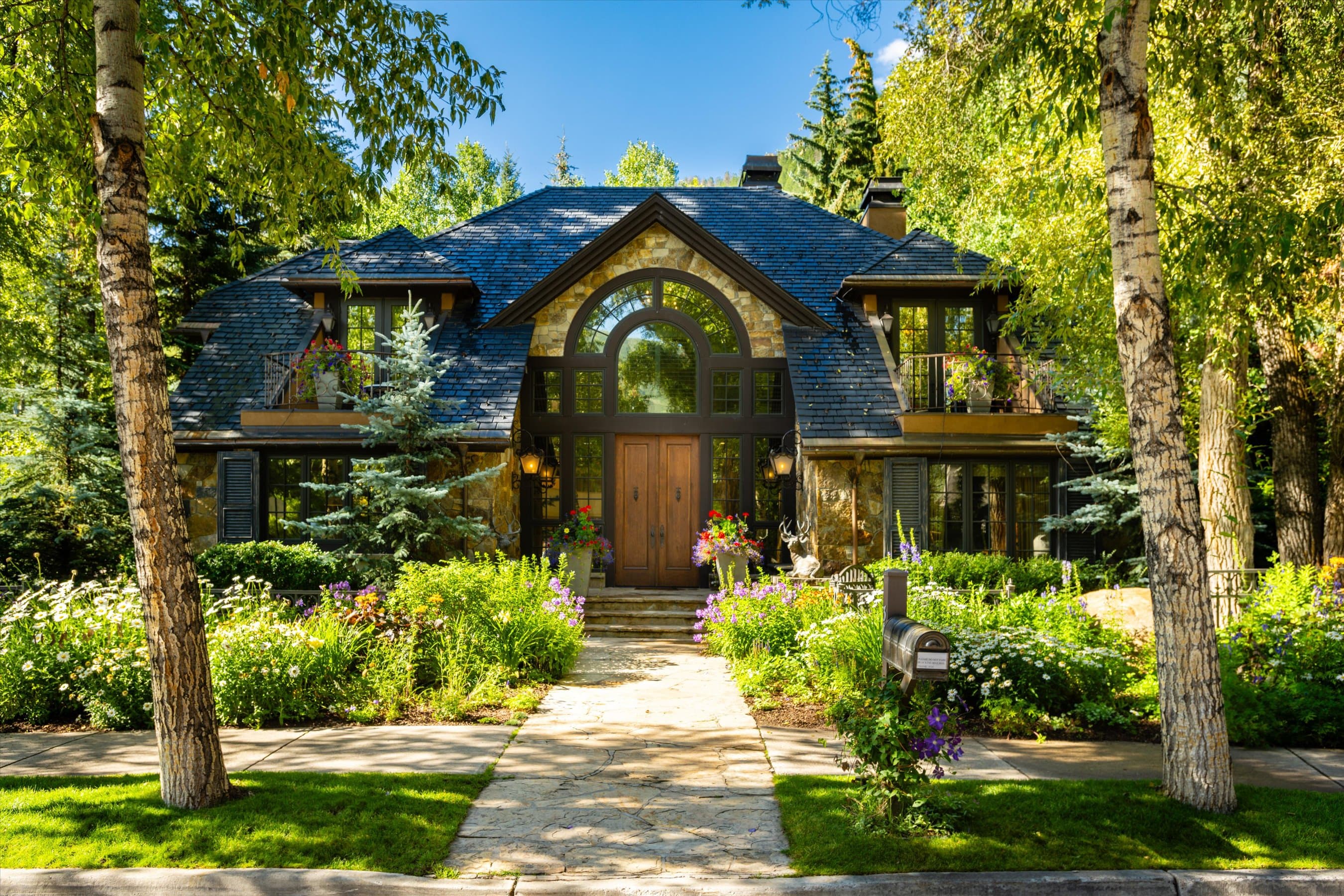 303 W Hopkins Avenue, Aspen, CO 81611 - Photo 1