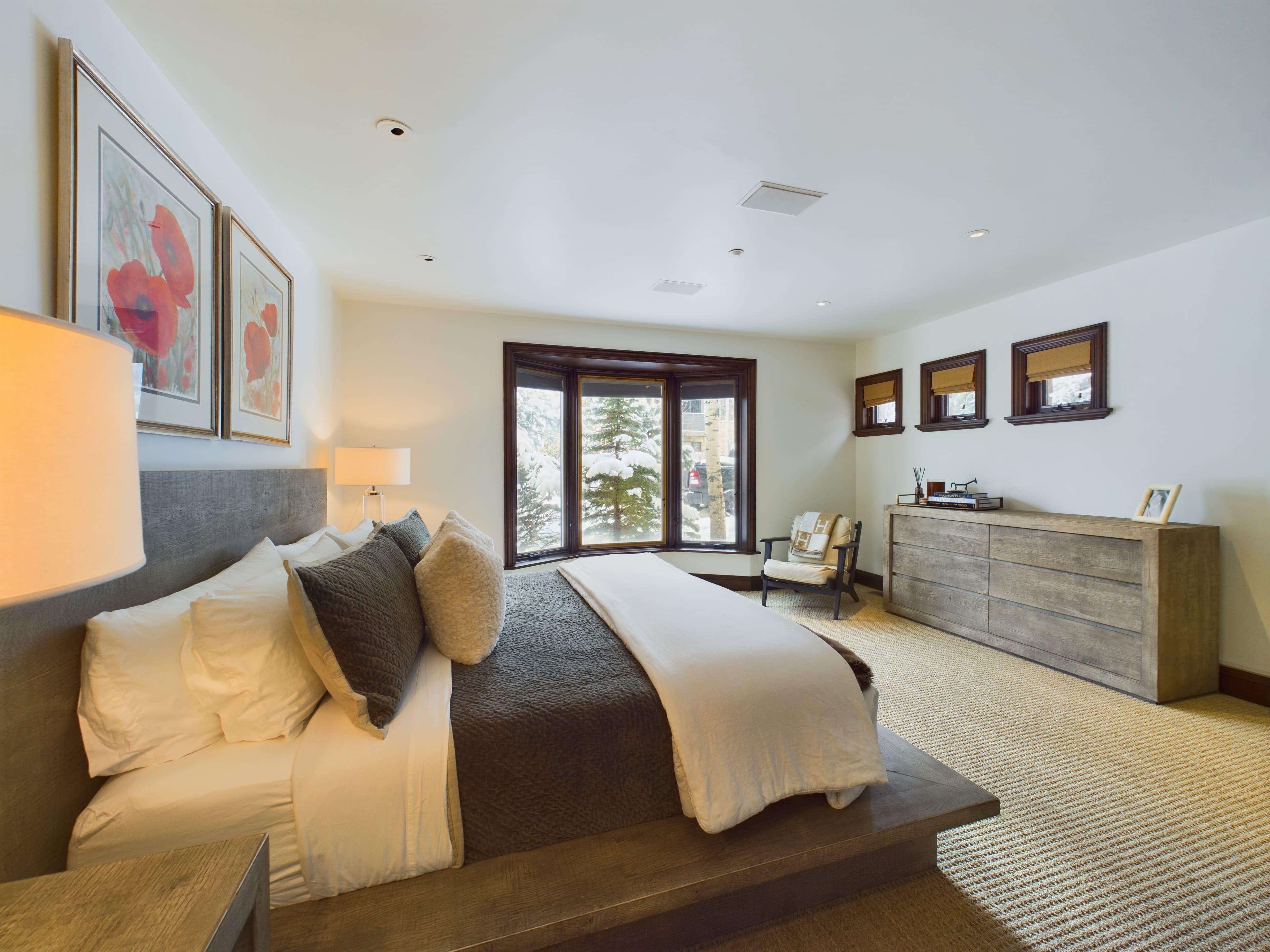910 E Cooper Avenue, Aspen, CO 81611 - Photo 19