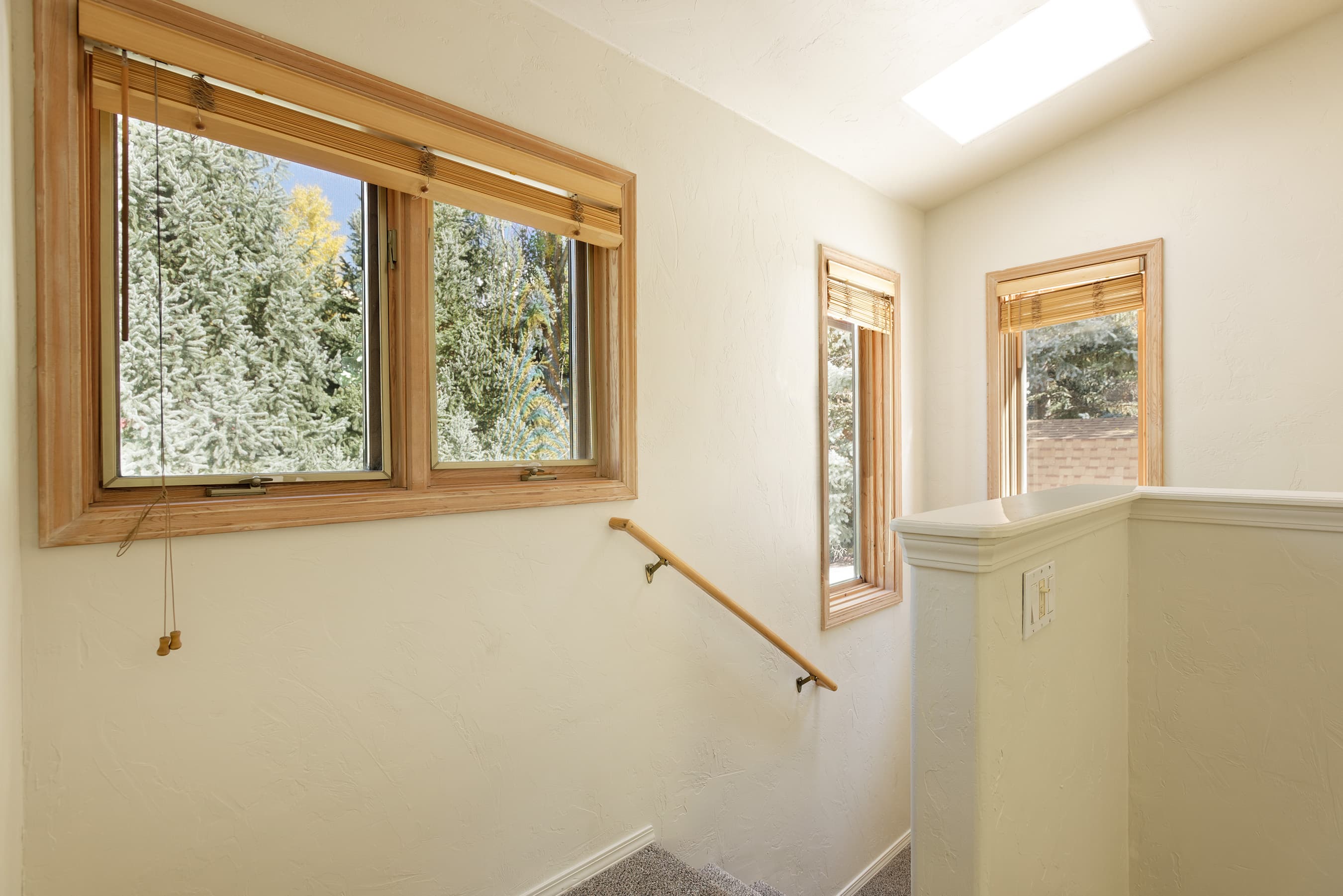 311 Midland Avenue, Aspen, CO 81611 - Photo 12